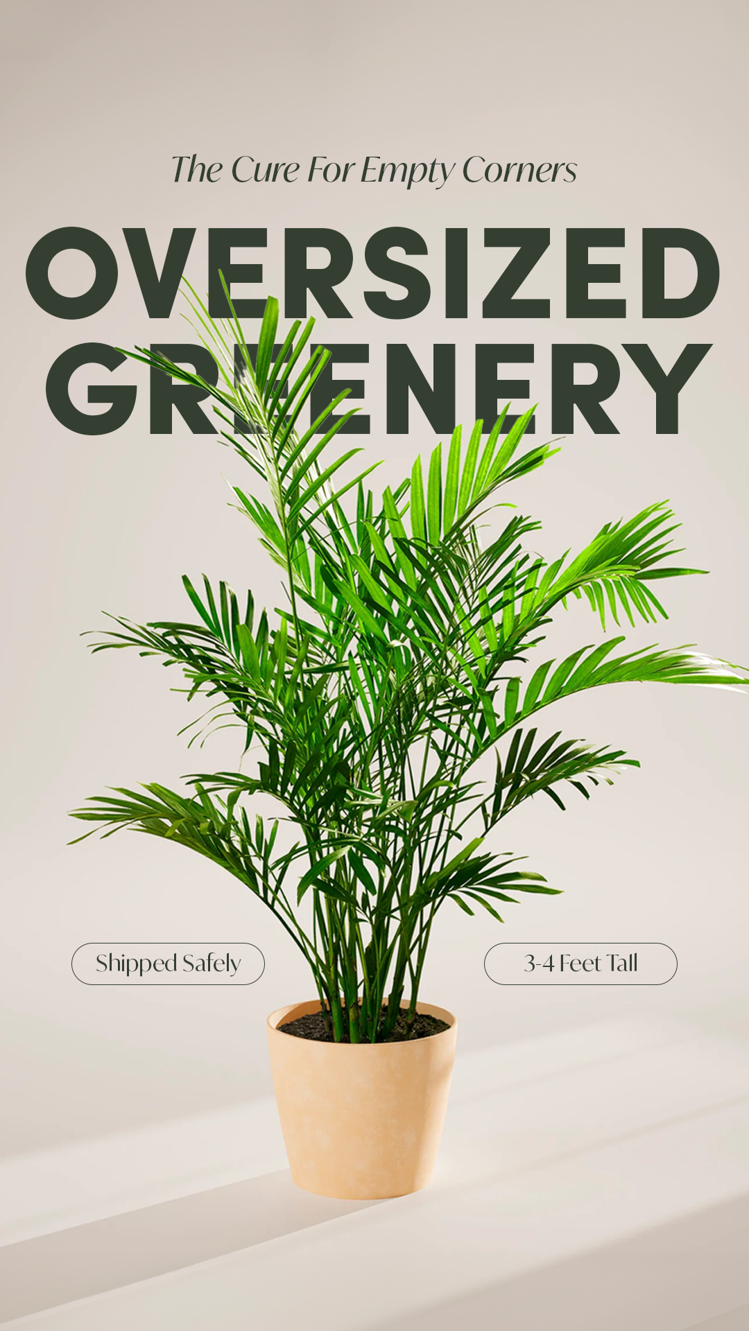 Lively Root Facebook ad