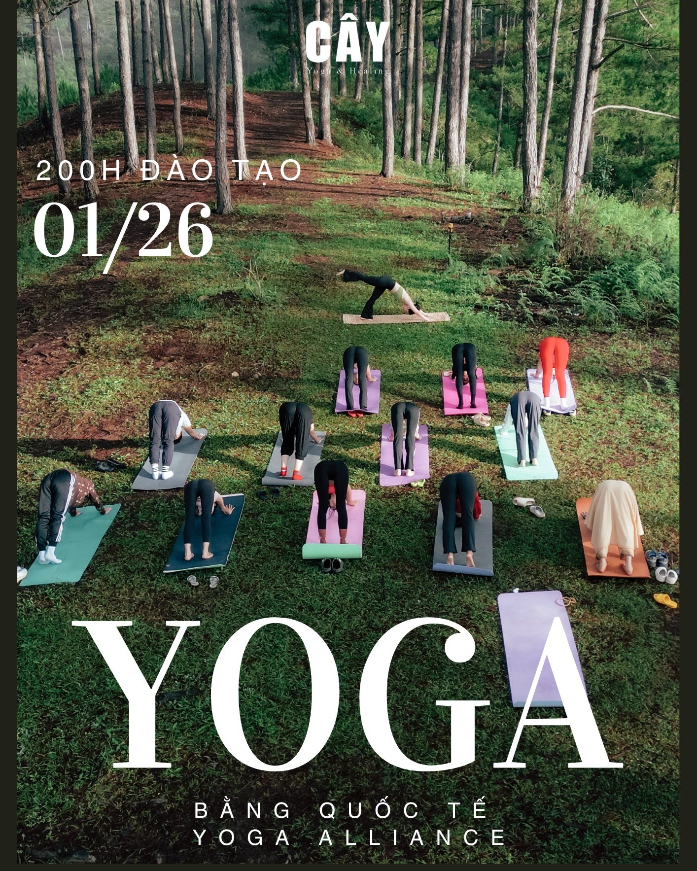 CÂY - Yoga and Healing home Facebook ad
