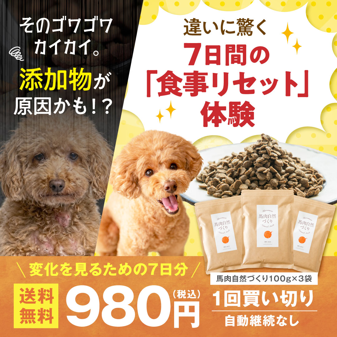 健康いぬ生活 Facebook ad