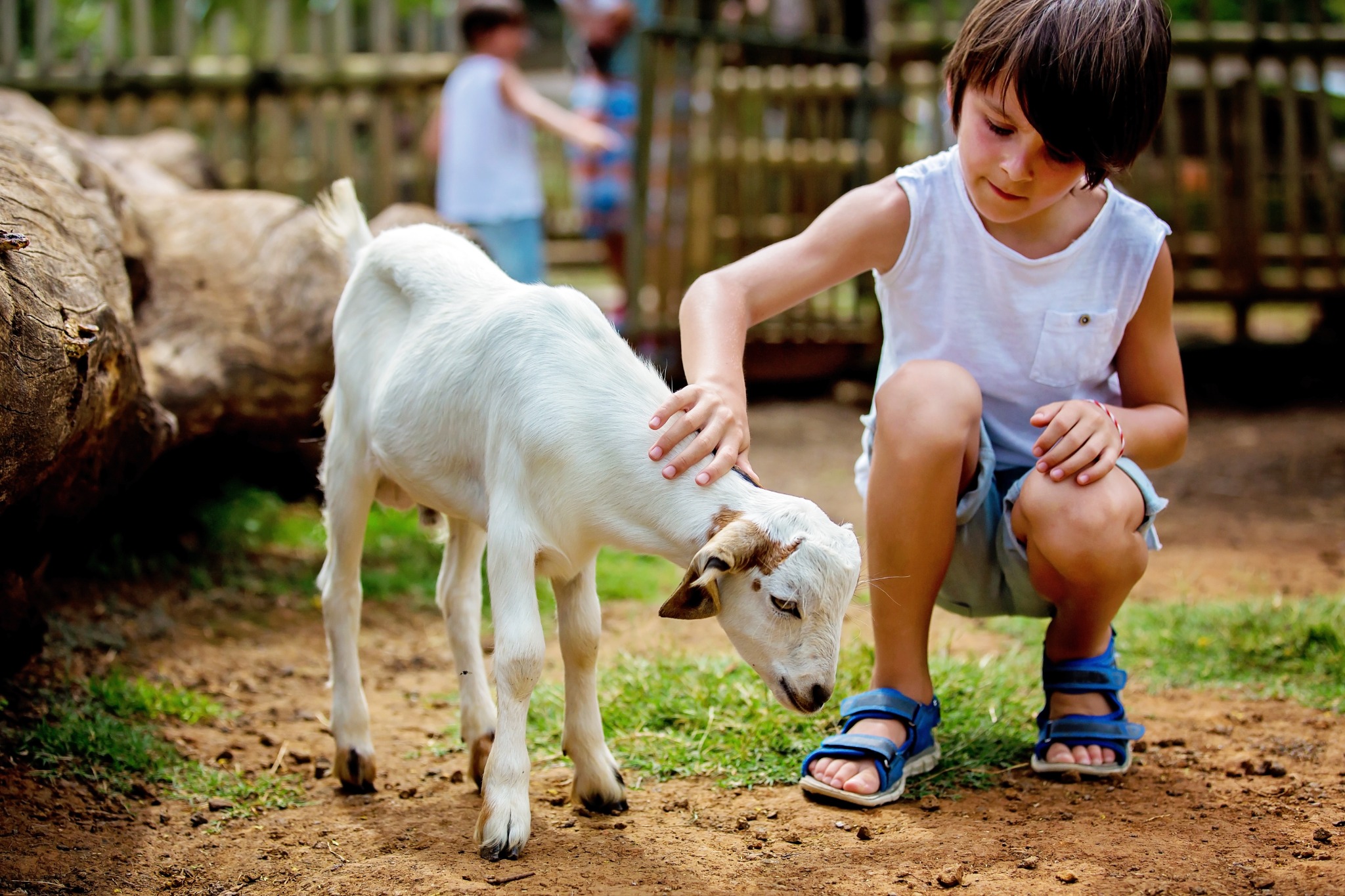 The Christian School at Castle Hills Facebook ad: Learning and Fun All Summer Long!