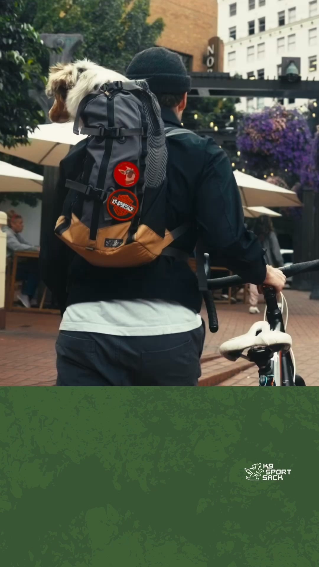 K9 Sport Sack Facebook ad: The coolest adventure buddy around.