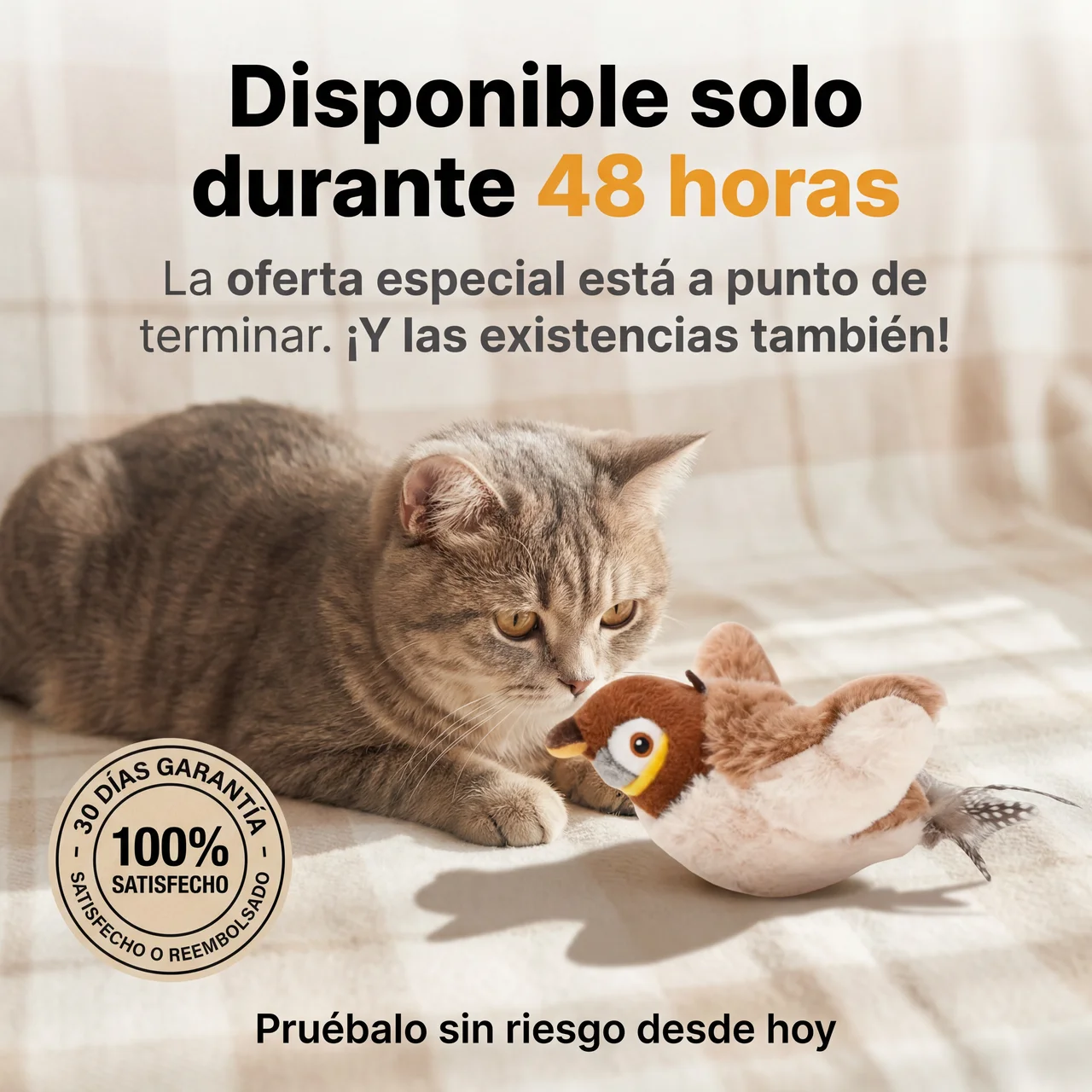 Pawlet Facebook ad