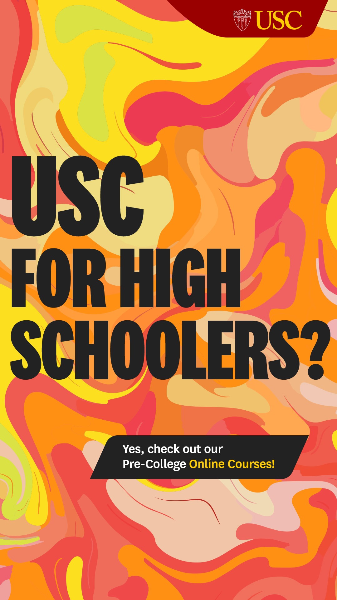 USC Summer & Online Pre-College Programs Facebook ad