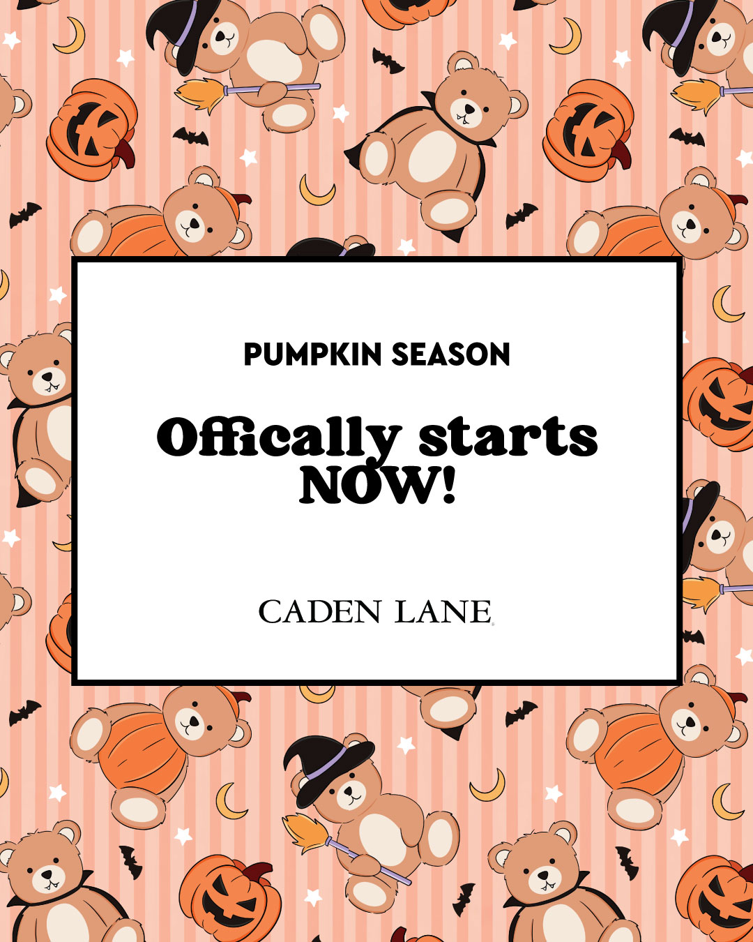 Caden Lane Facebook ad