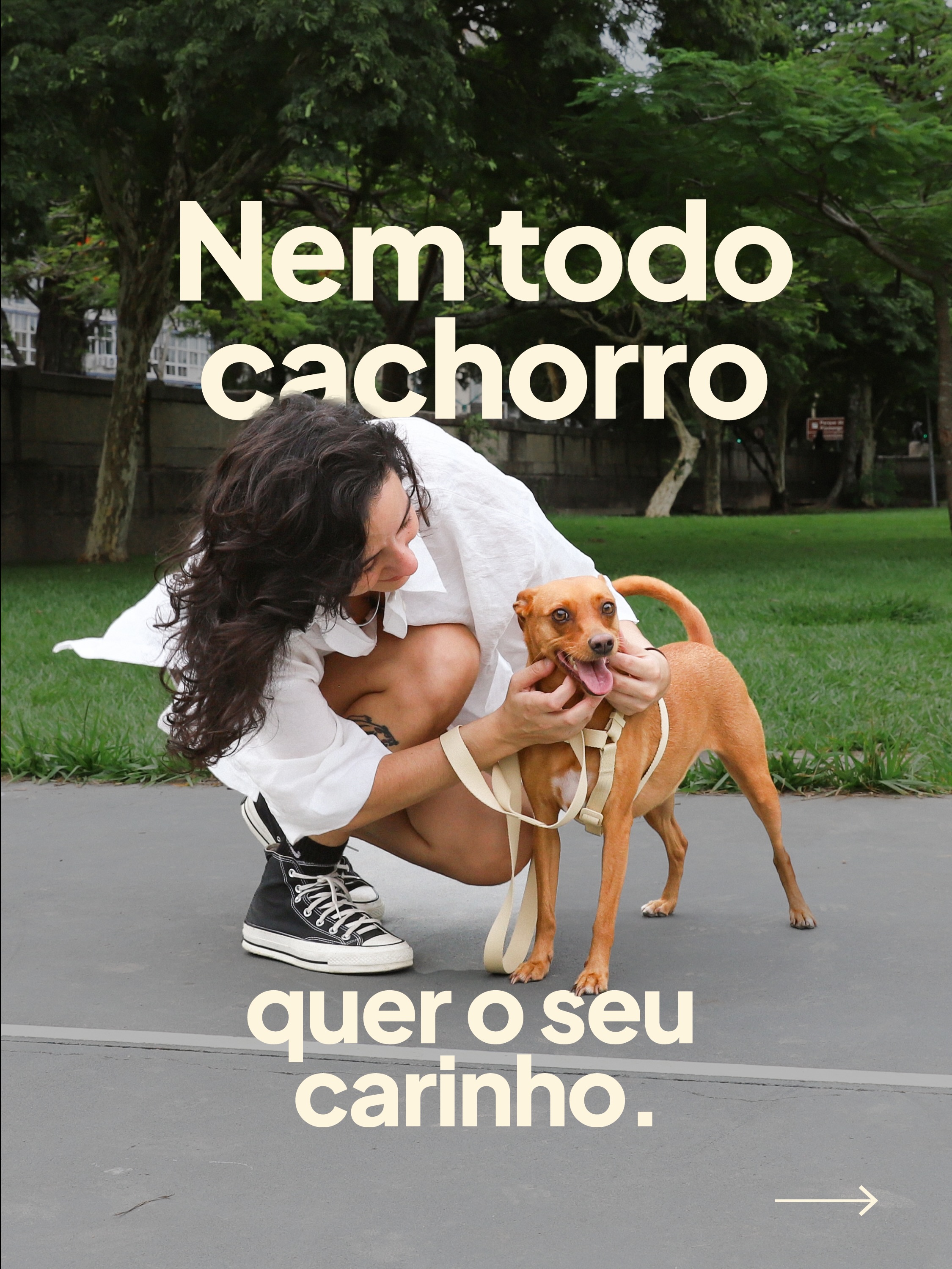 Petz Facebook ad