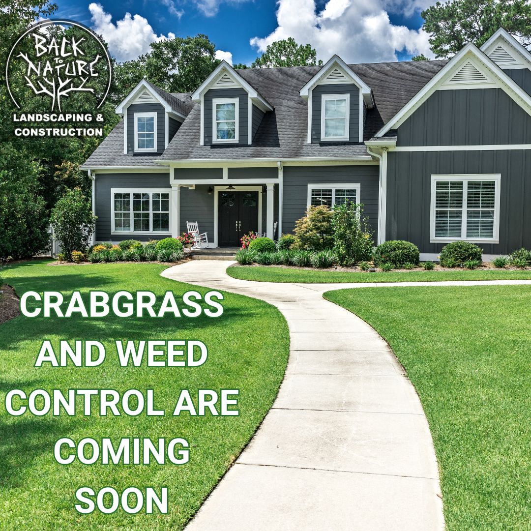 Back to Nature Landscaping & Construction Facebook ad