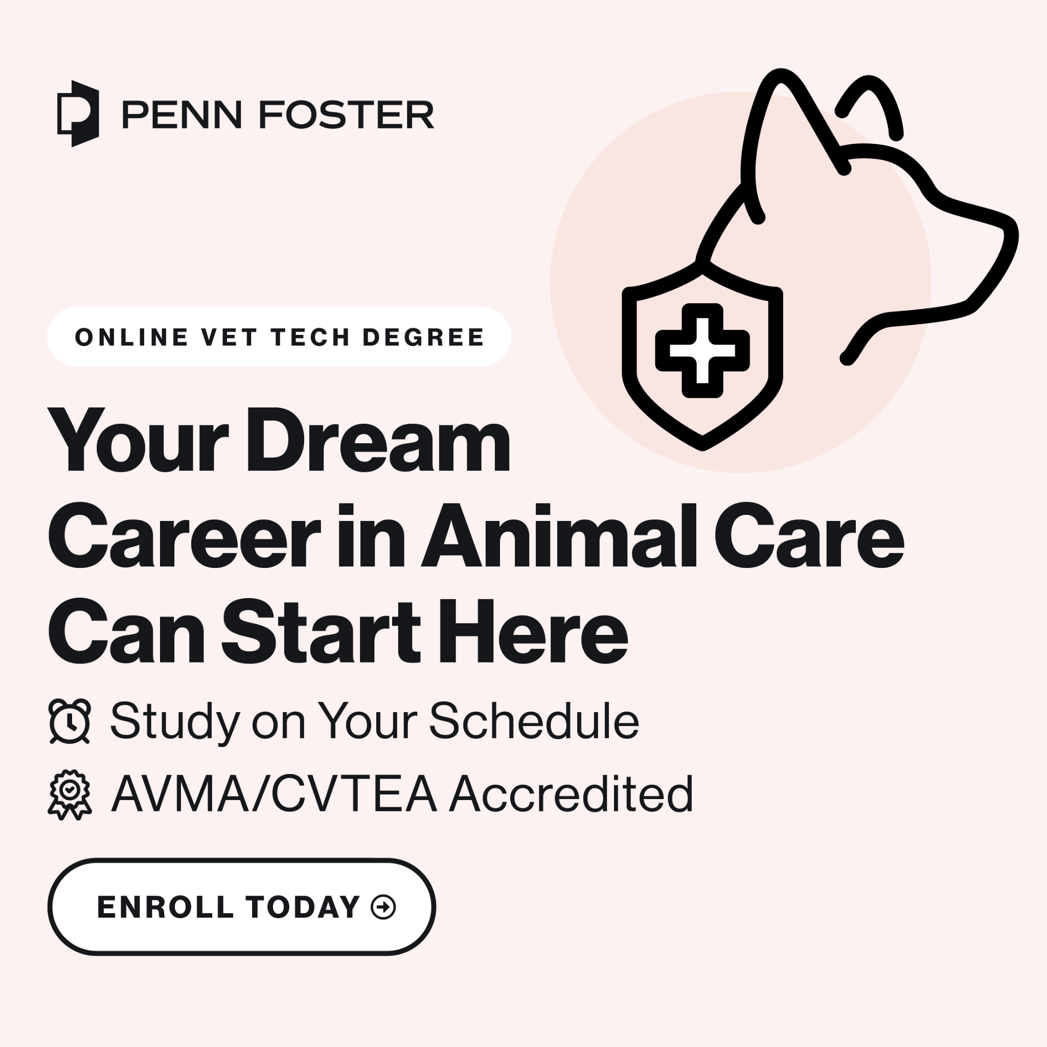 Penn Foster Facebook ad