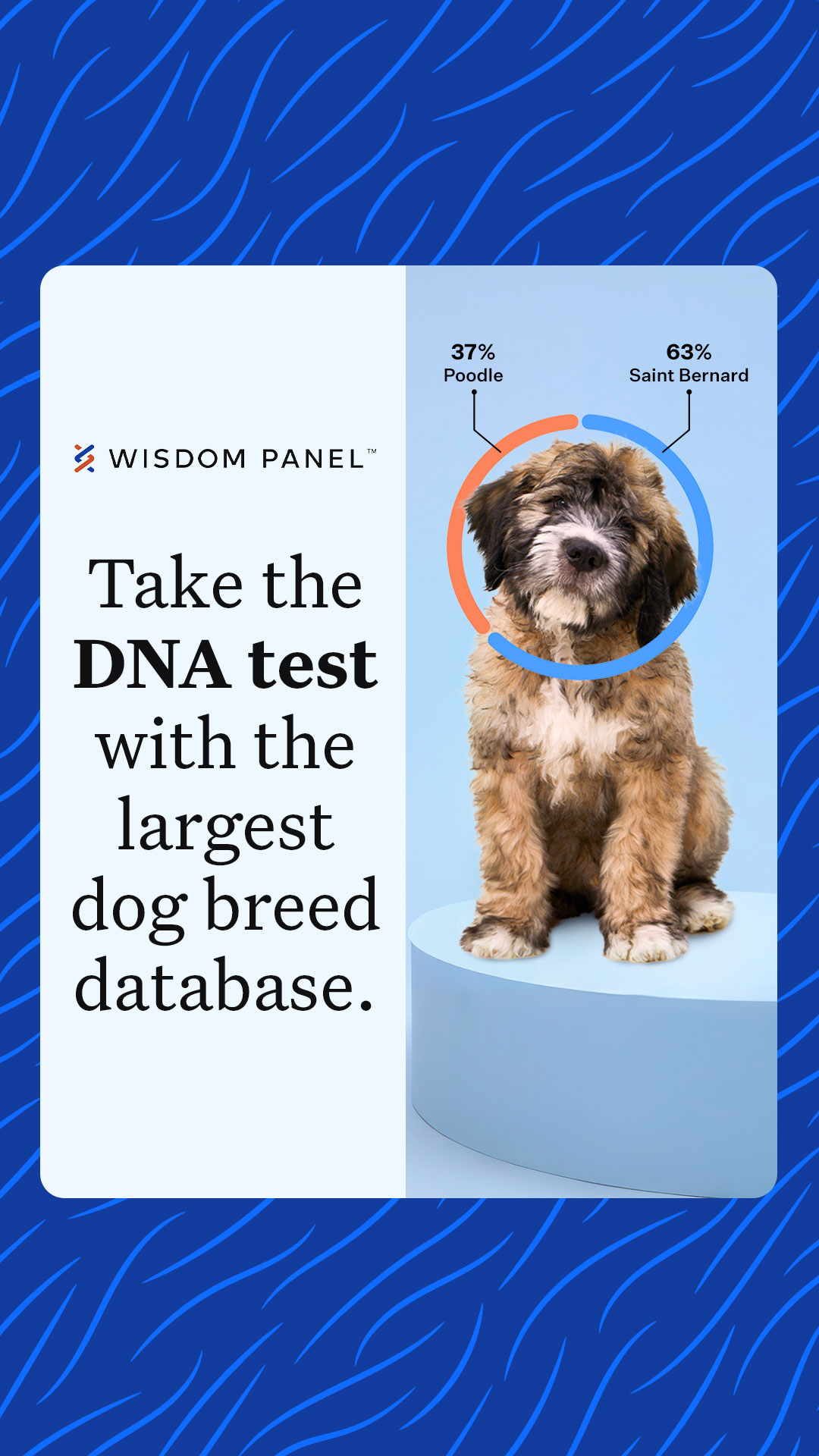Wisdom Panel Facebook ad