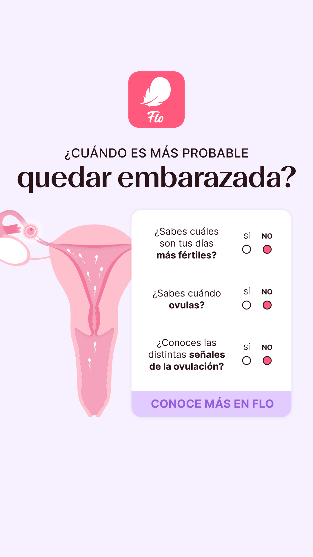 Flo Español Facebook ad