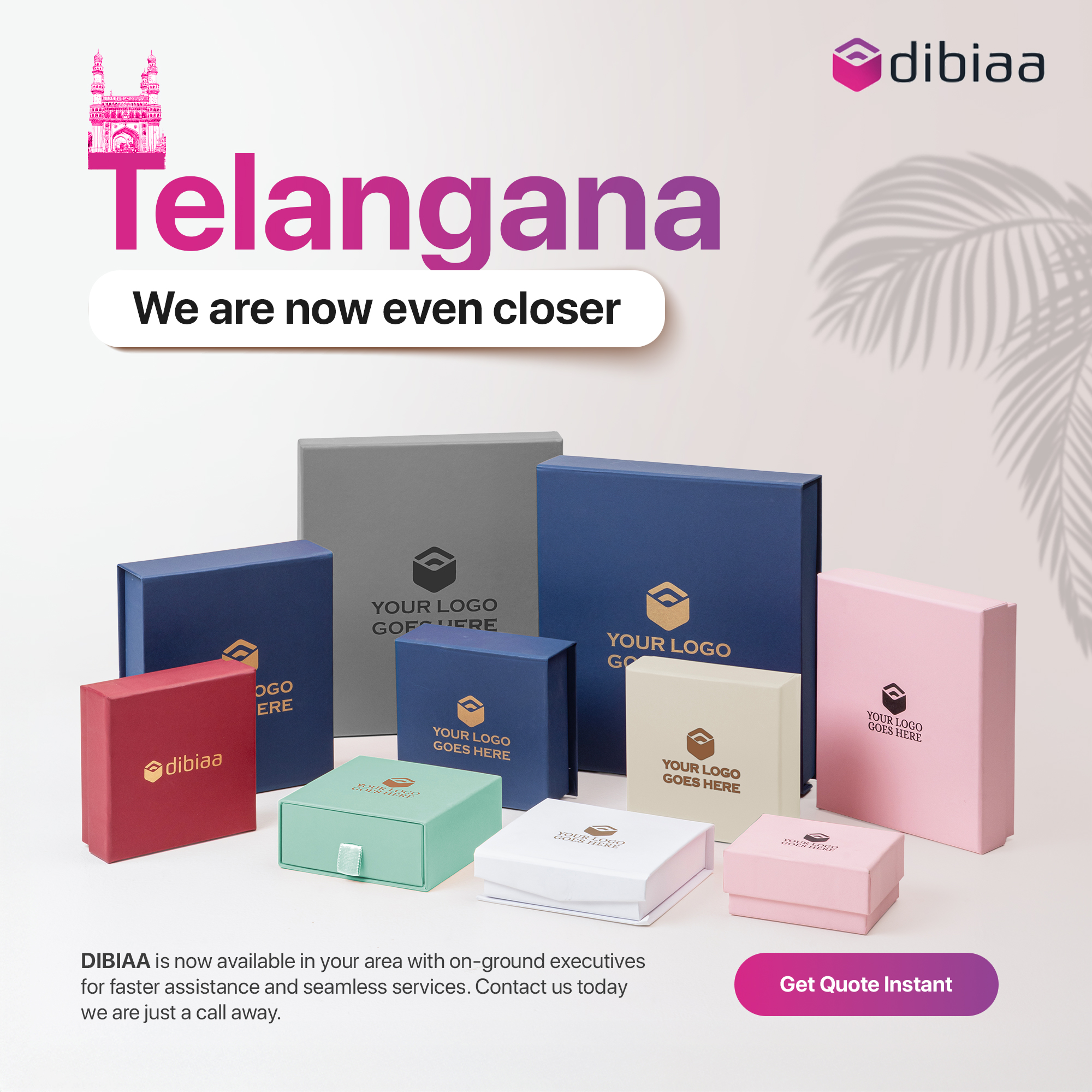 Dibiaa Facebook ad