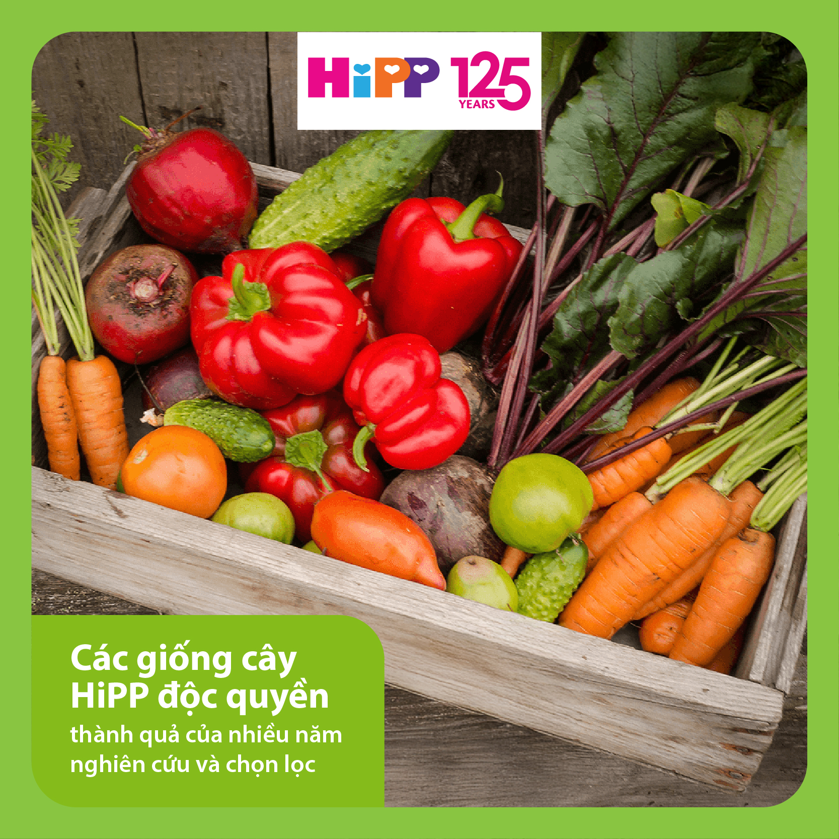 HiPP Việt Nam Facebook ad: MỜI BA MẸ KHÁM PHÁ NHỮNG BÍ MẬT…