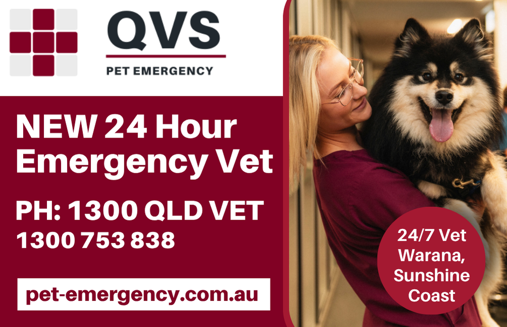 Queensland Veterinary Specialists Facebook ad