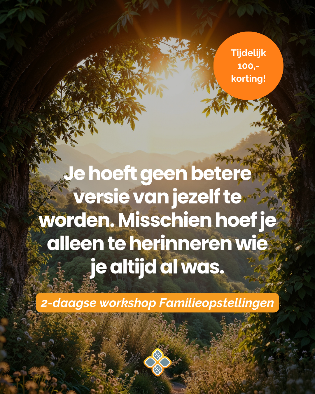 Hylke Bonnema Facebook ad