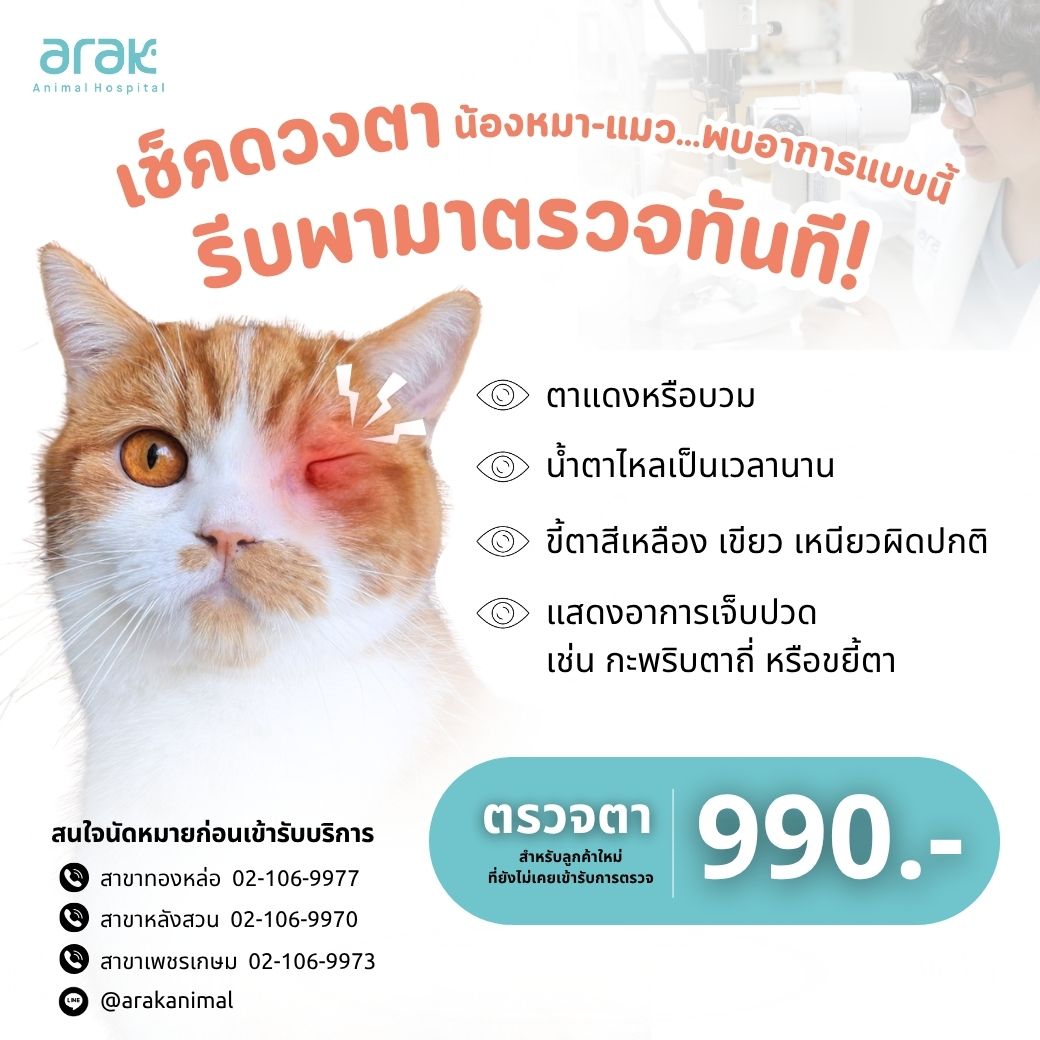 Arak Animal Hospital โรงพยาบาลสัตว์อารักษ์ Facebook ad