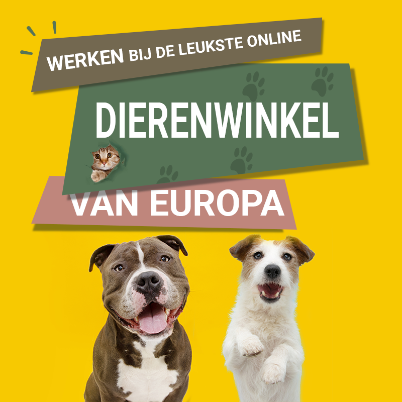 Brekz Facebook ad