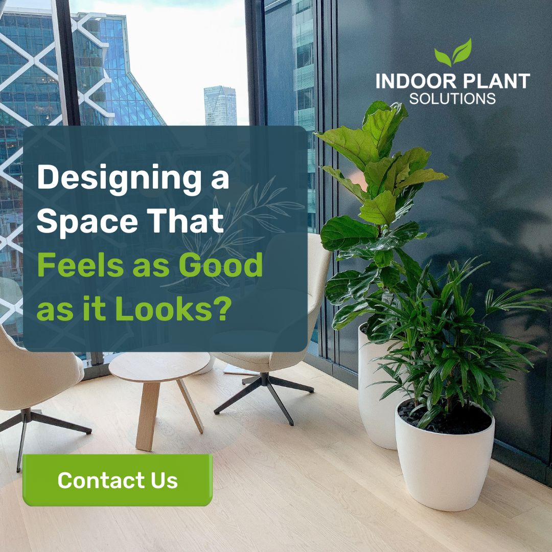 Indoor Plant Solutions Facebook ad: When every design detail counts, your greenery should…