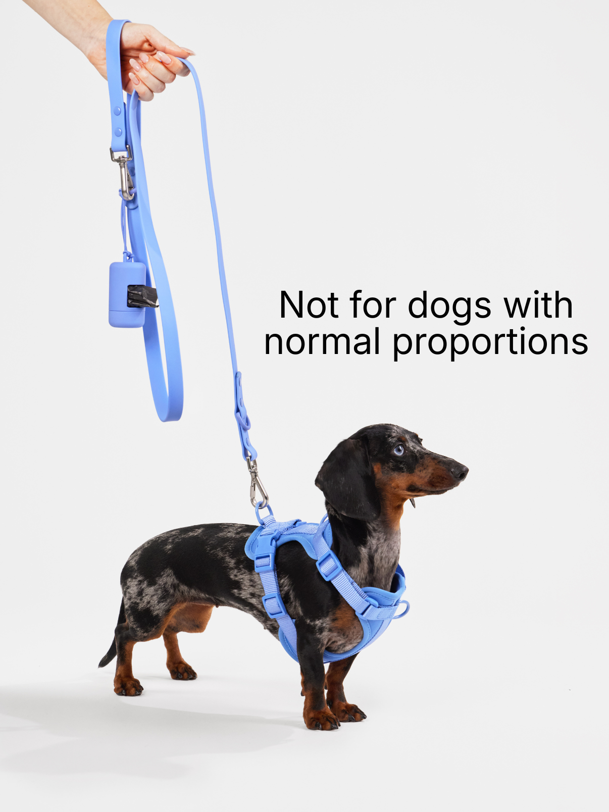 Doxie Warehouse Facebook ad