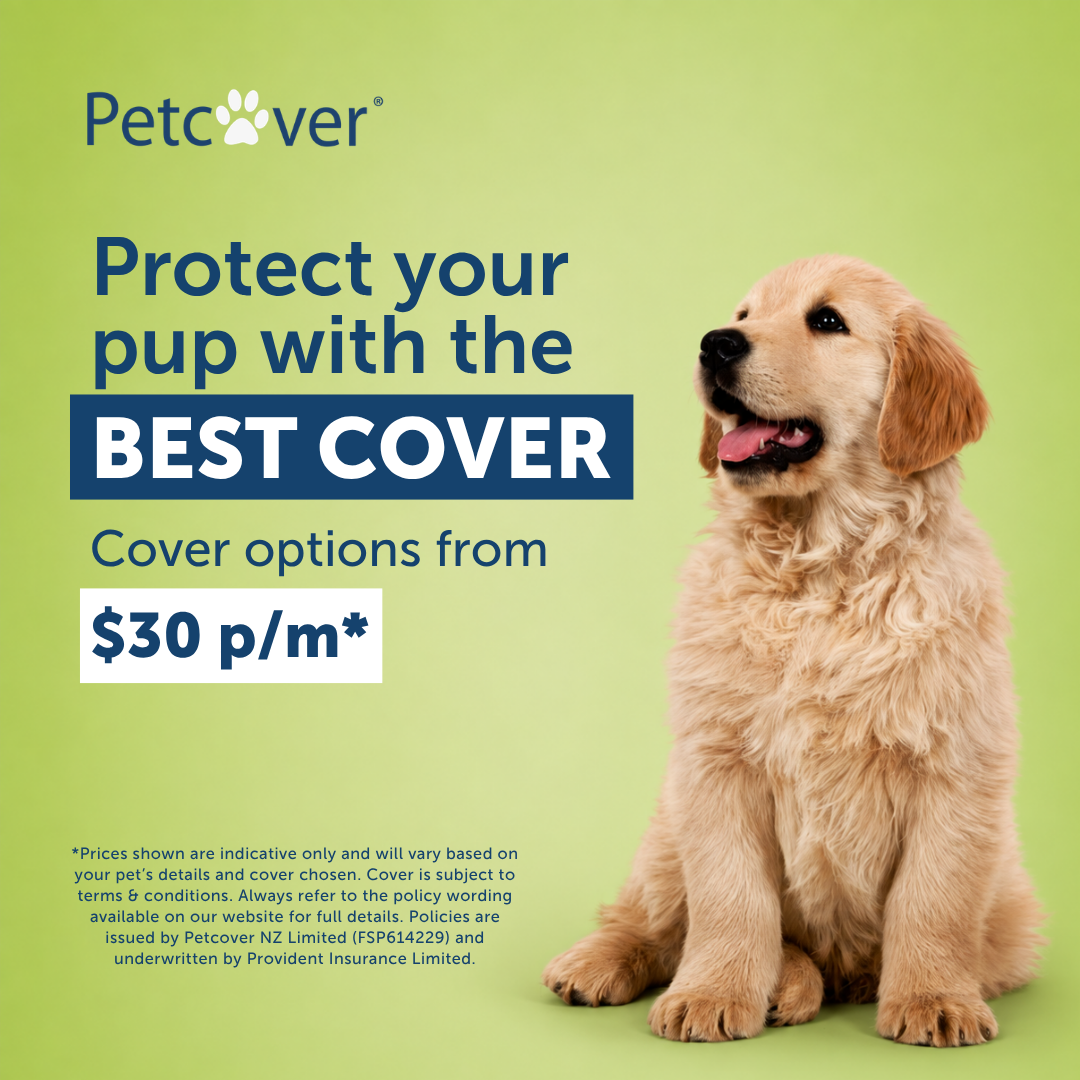 Petcover New Zealand Facebook ad