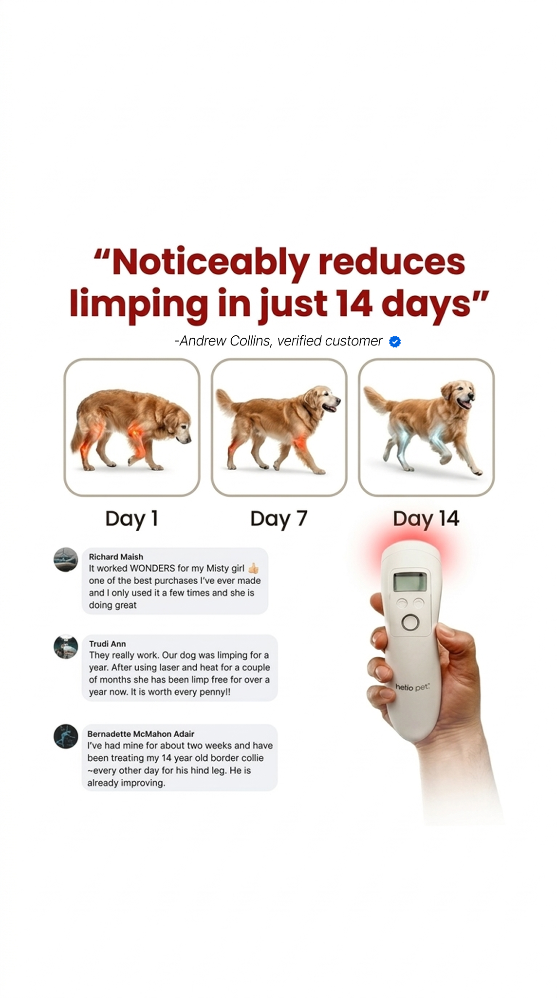 Helio Pet Facebook ad