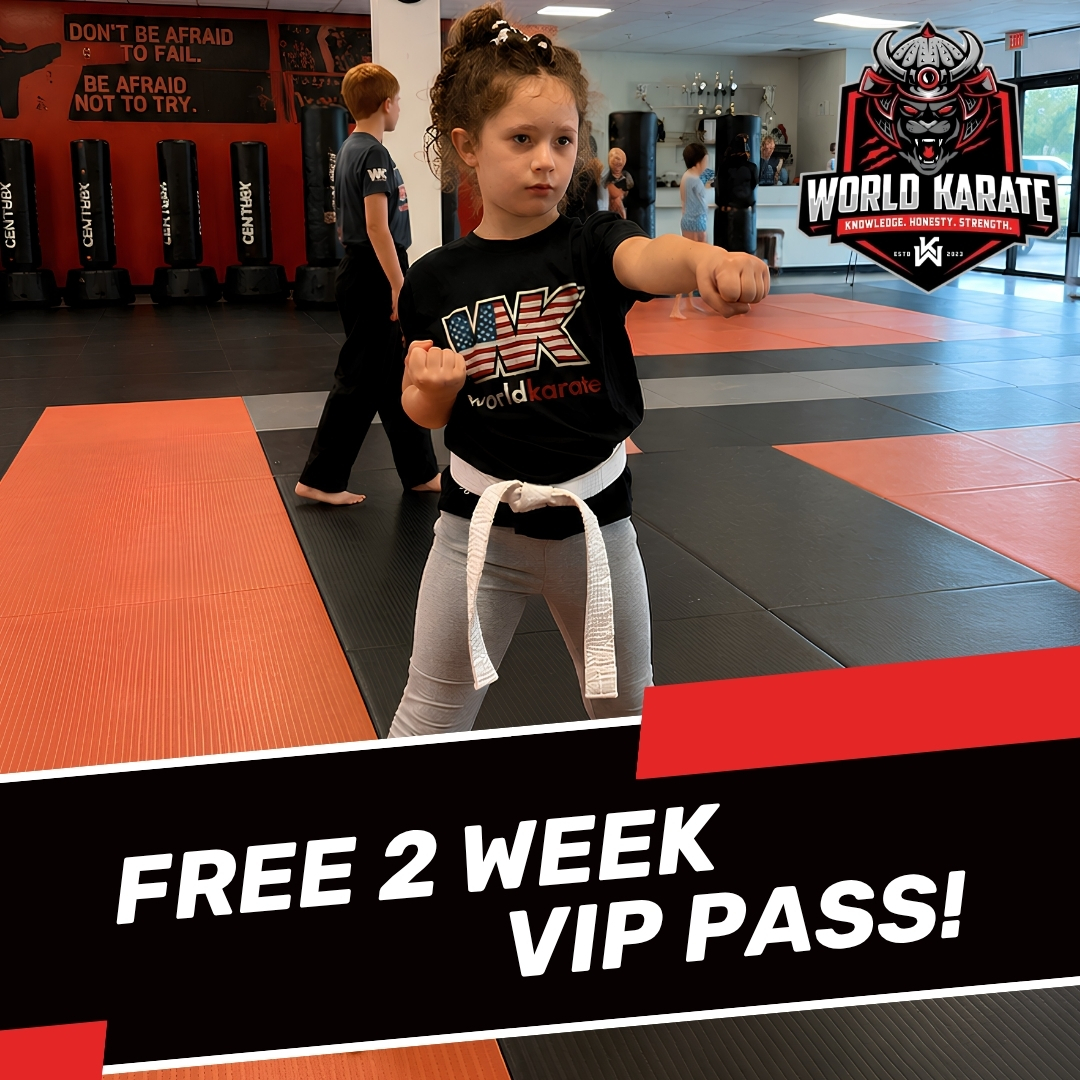 World Karate Facebook ad: FREE 2 Week VIP Pass