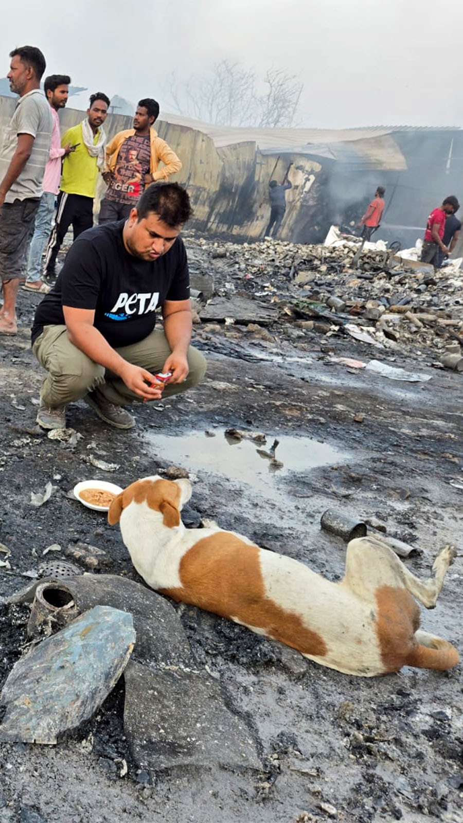 PETA India Facebook ad from Jun 5, 2026