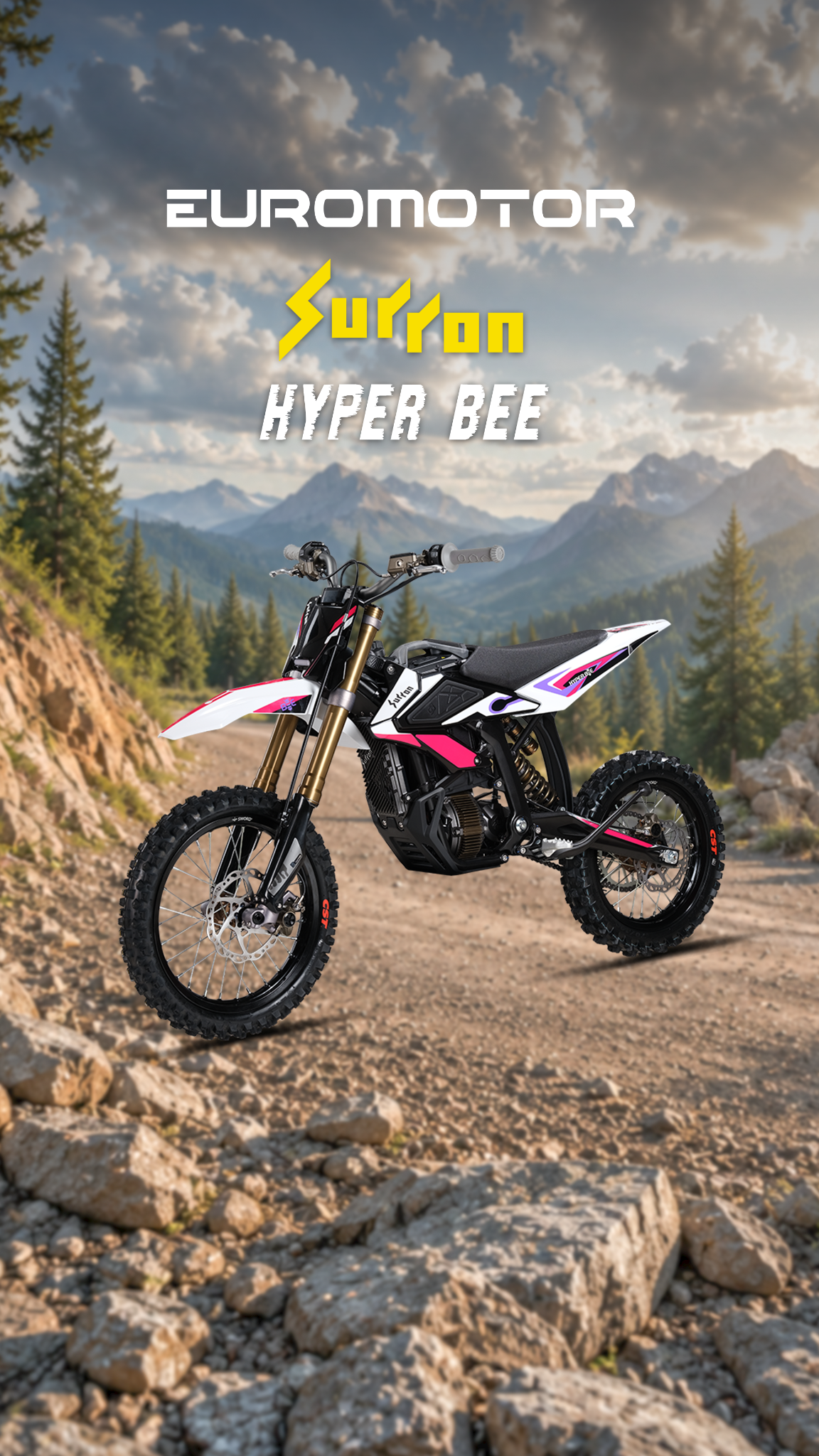 EUROMOTOR Facebook ad from Jun 2, 2026