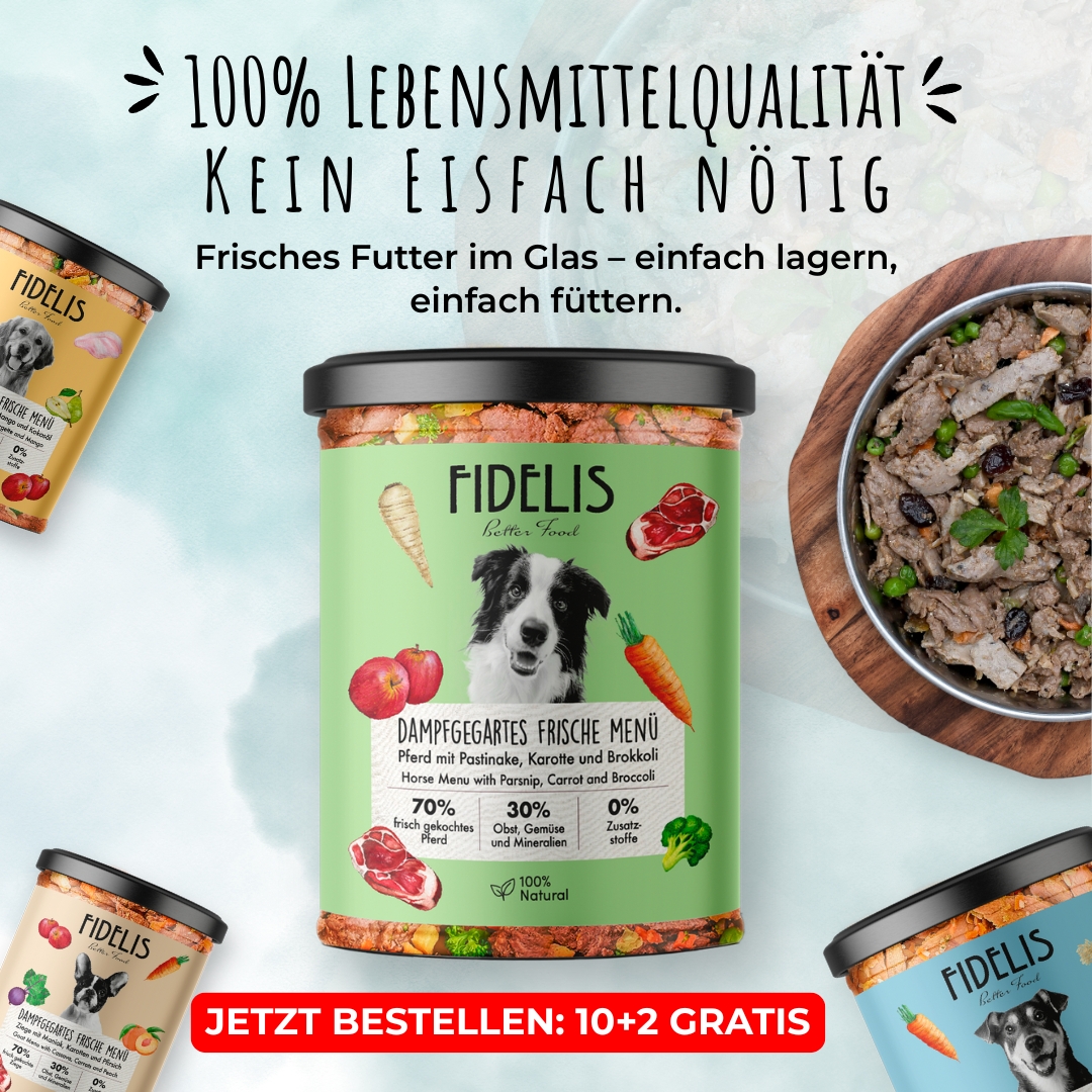 Fidelis.dog Facebook ad