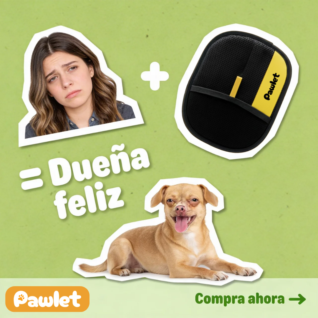 Pawlet Facebook ad