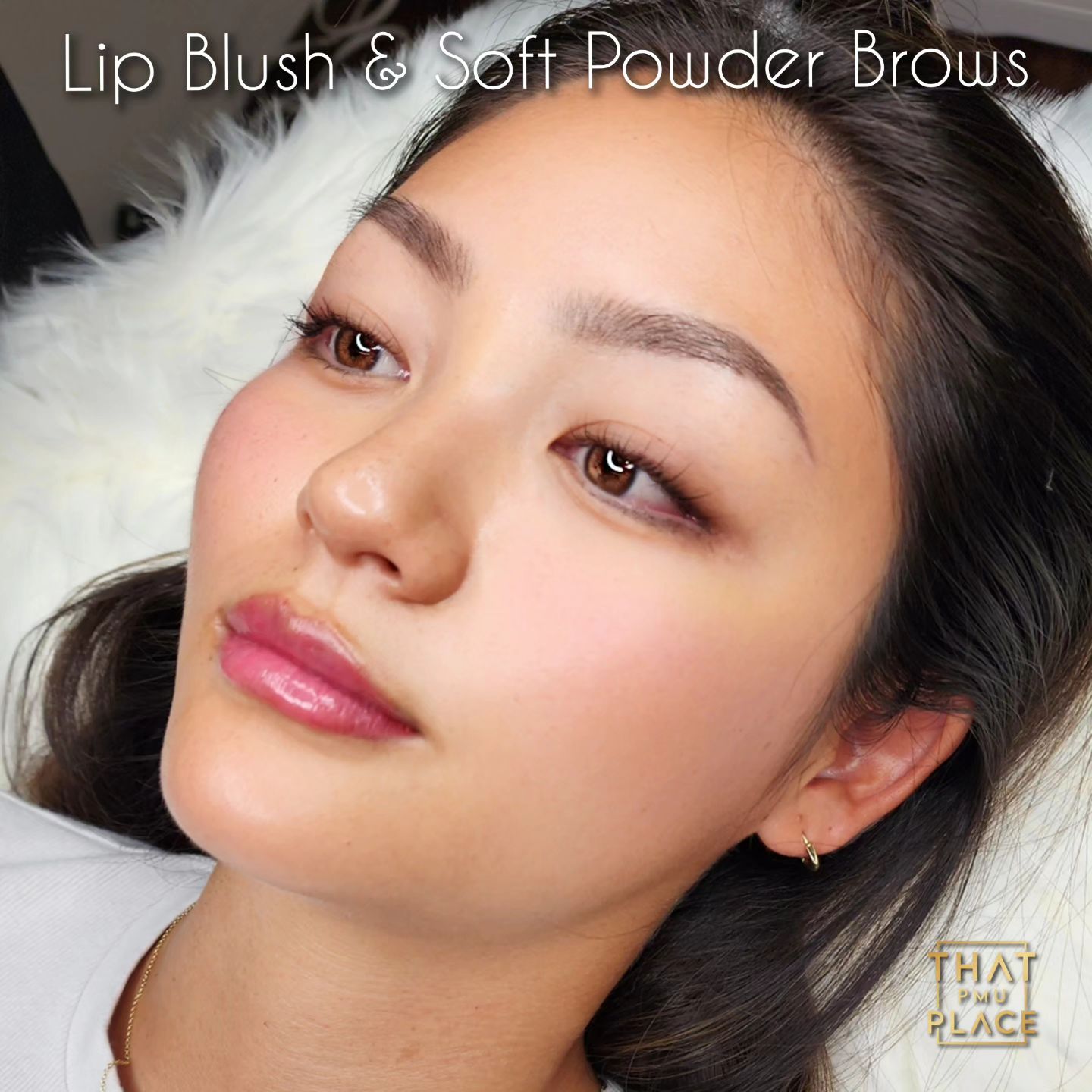 That PMU Place Facebook ad: LIP BLUSH & SOFT POWDER BROWS