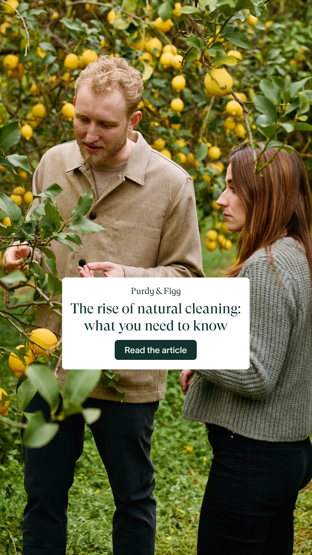 Purdy & Figg Facebook ad