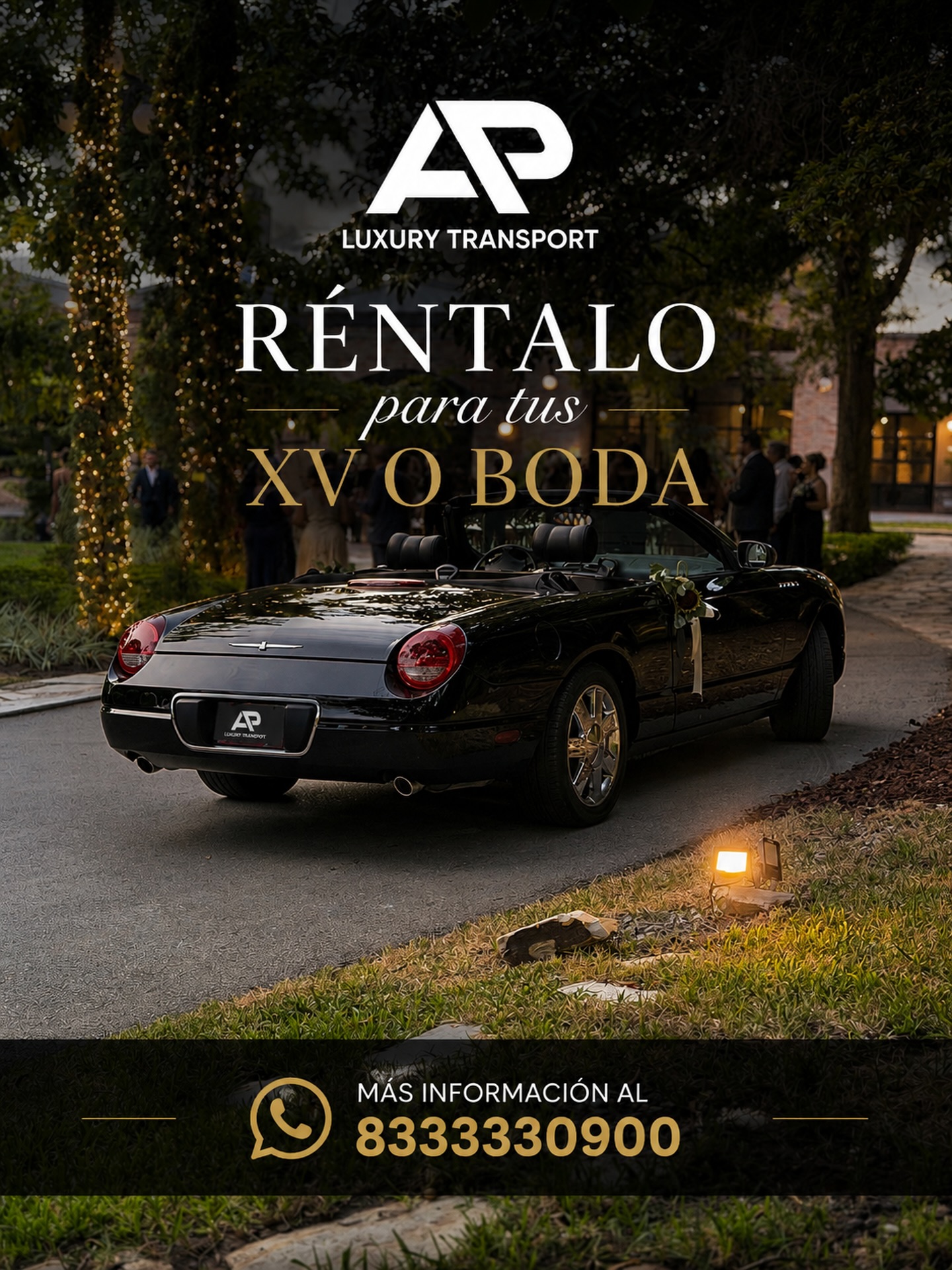 Ap Luxury Transport Facebook ad