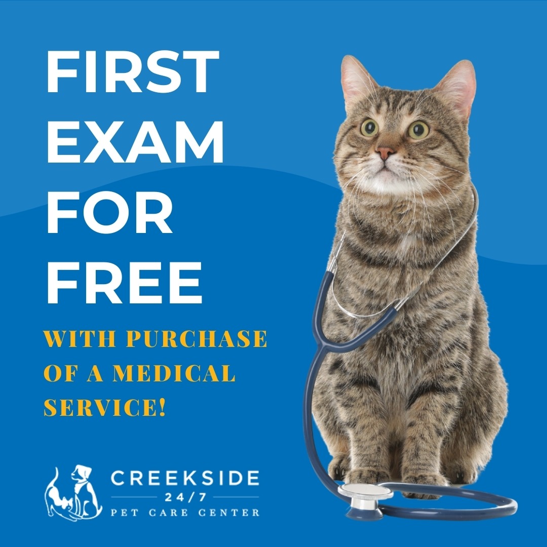 Creekside Pet Care Center Facebook ad