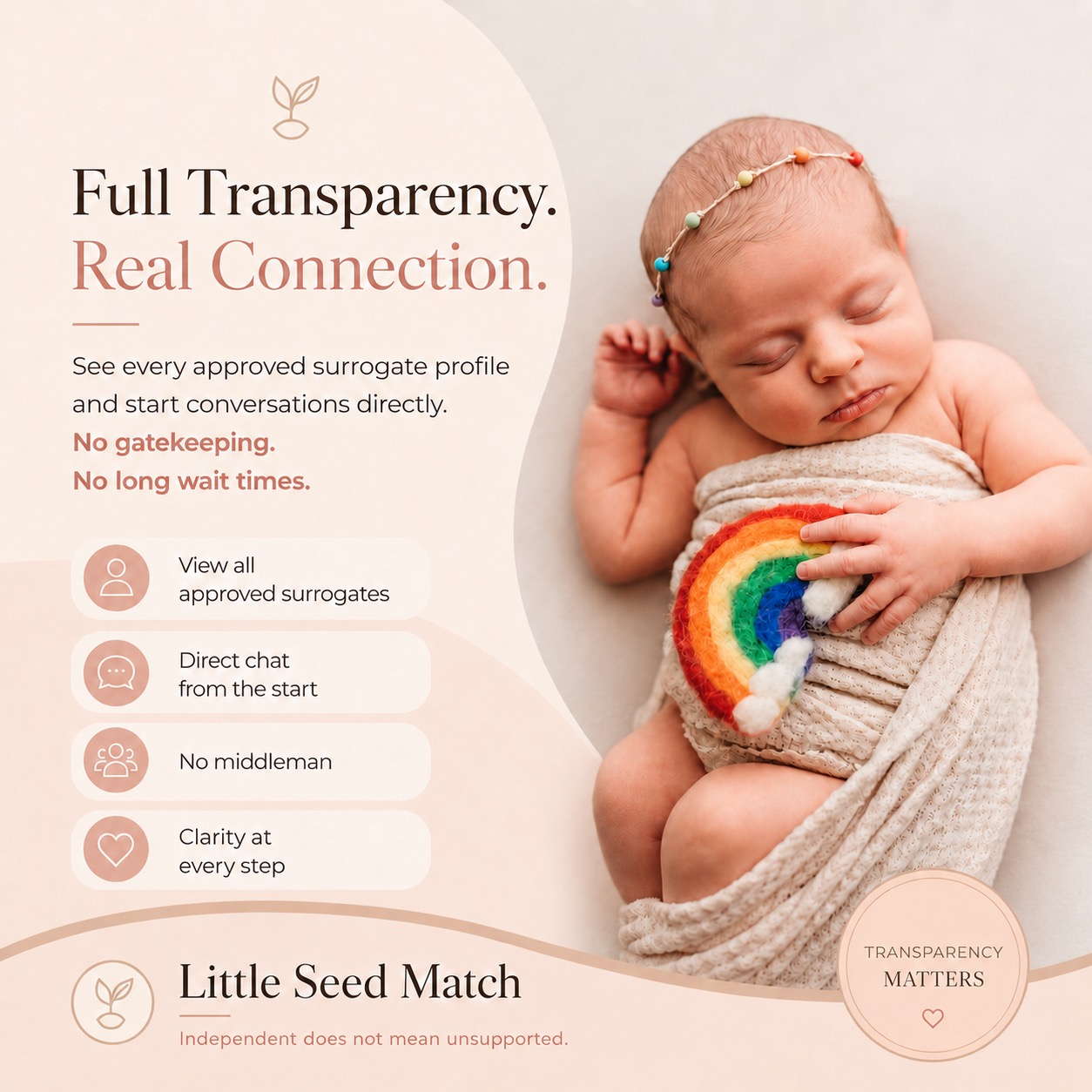 Little Seed Match Facebook ad
