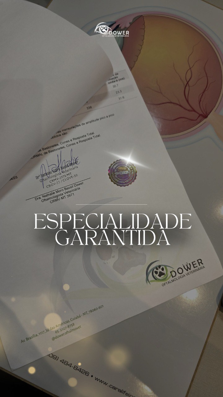 dower.oftalmovet Facebook ad: Reconhecimento de muita dedicação e amor!
