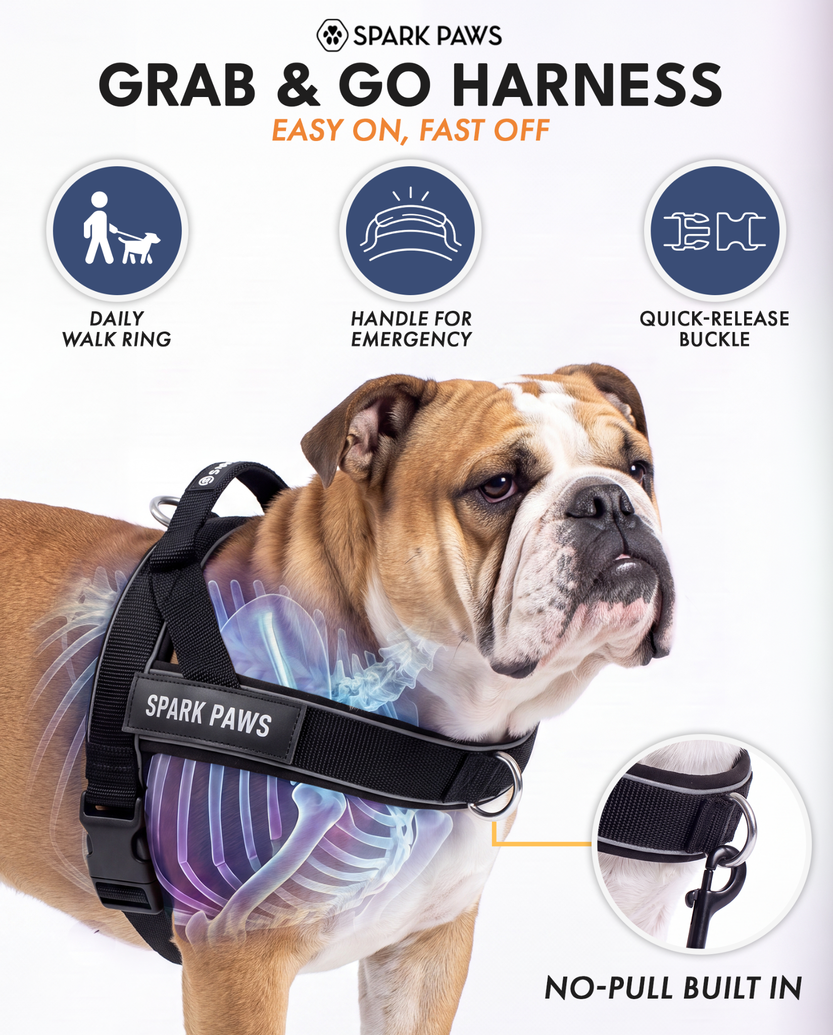 Spark Paws Facebook ad