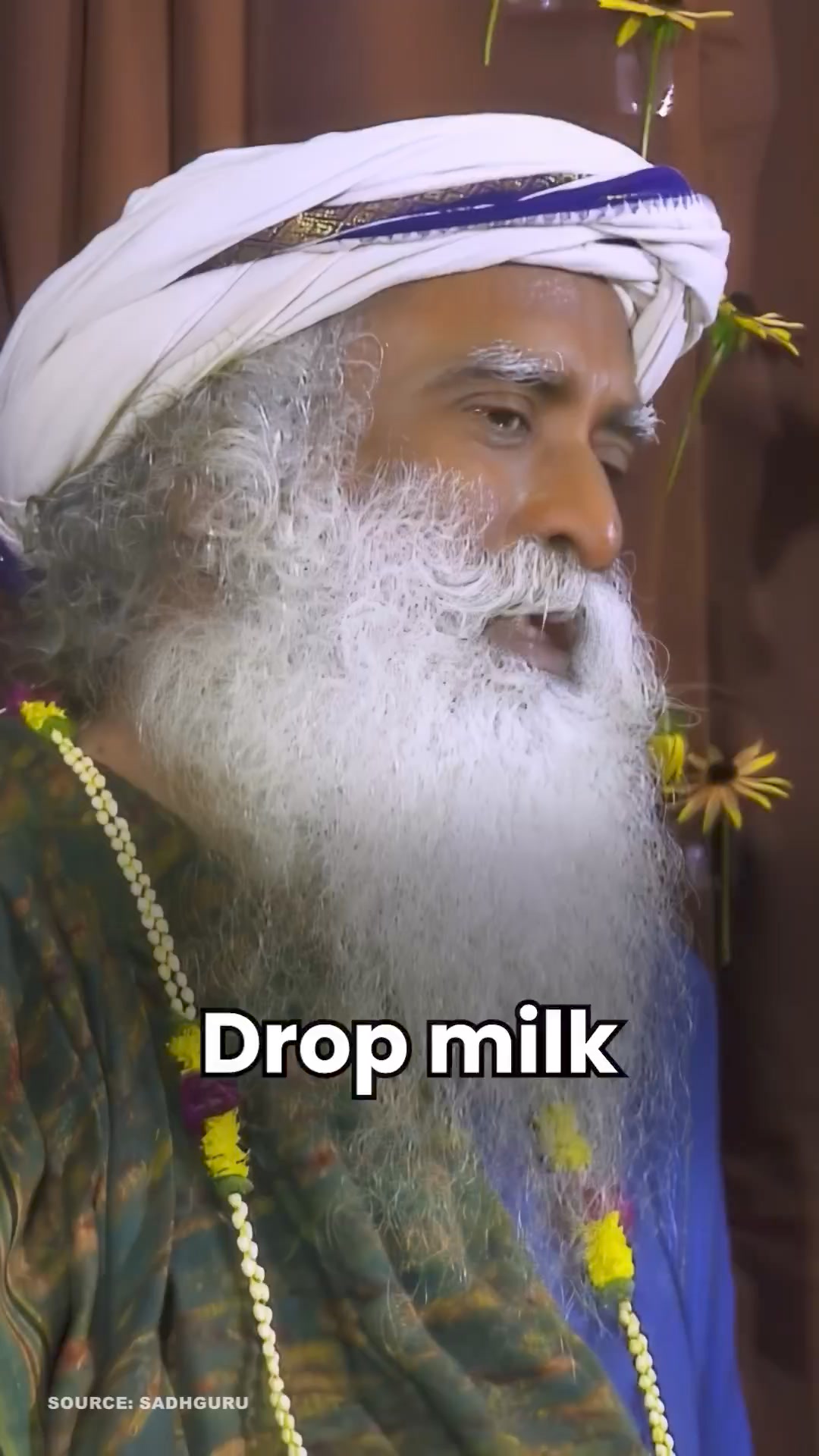Animal Climate and Health Save Foundation Facebook ad: you don't need cow's milk to live a…