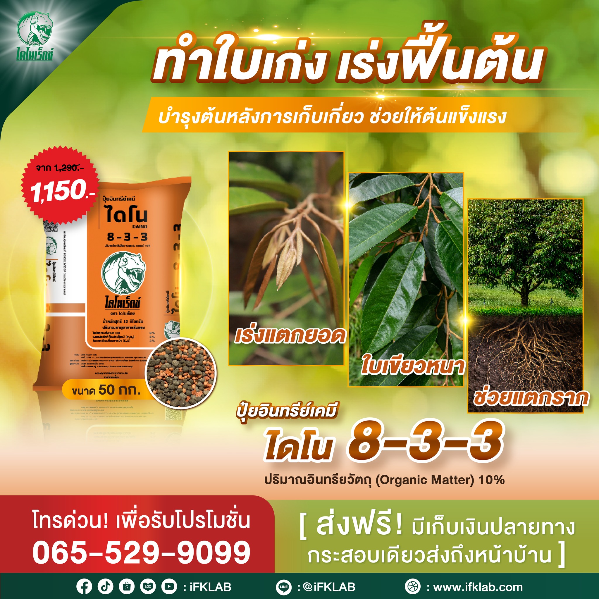 สารปรับปรุงดิน ไดโนเร็กซ์ Facebook ad: ฟื้นต้น เร่งใบ แตกยอดใหม่รวดเร็ว!