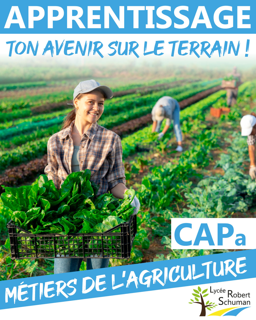 Lycée Robert Schuman Facebook ad: Apprendre un métier sur le terrain, c’est possible…