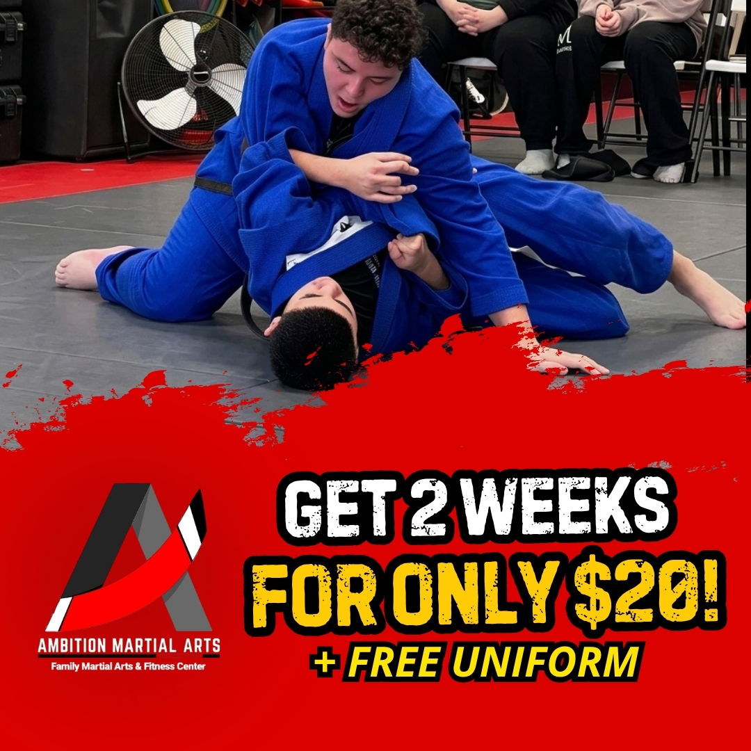 Ambition Martial Arts Facebook ad: 2 Weeks for ONLY $20