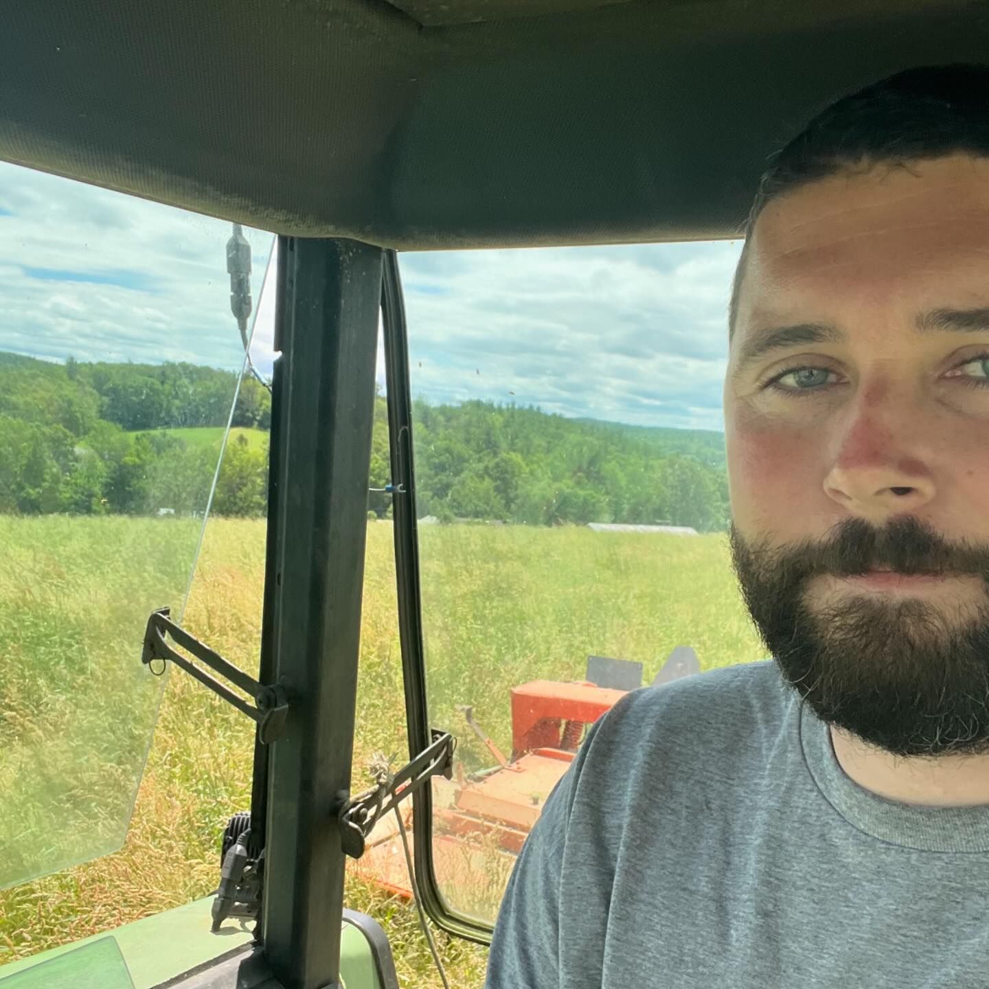 Lilac Hedge Farm Facebook ad