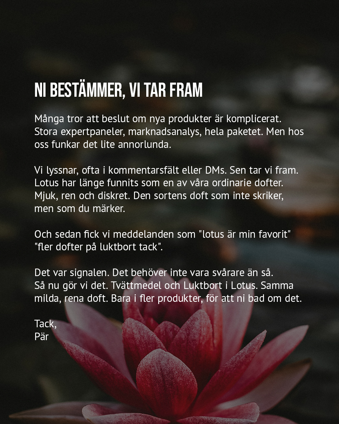 Sunda Facebook ad