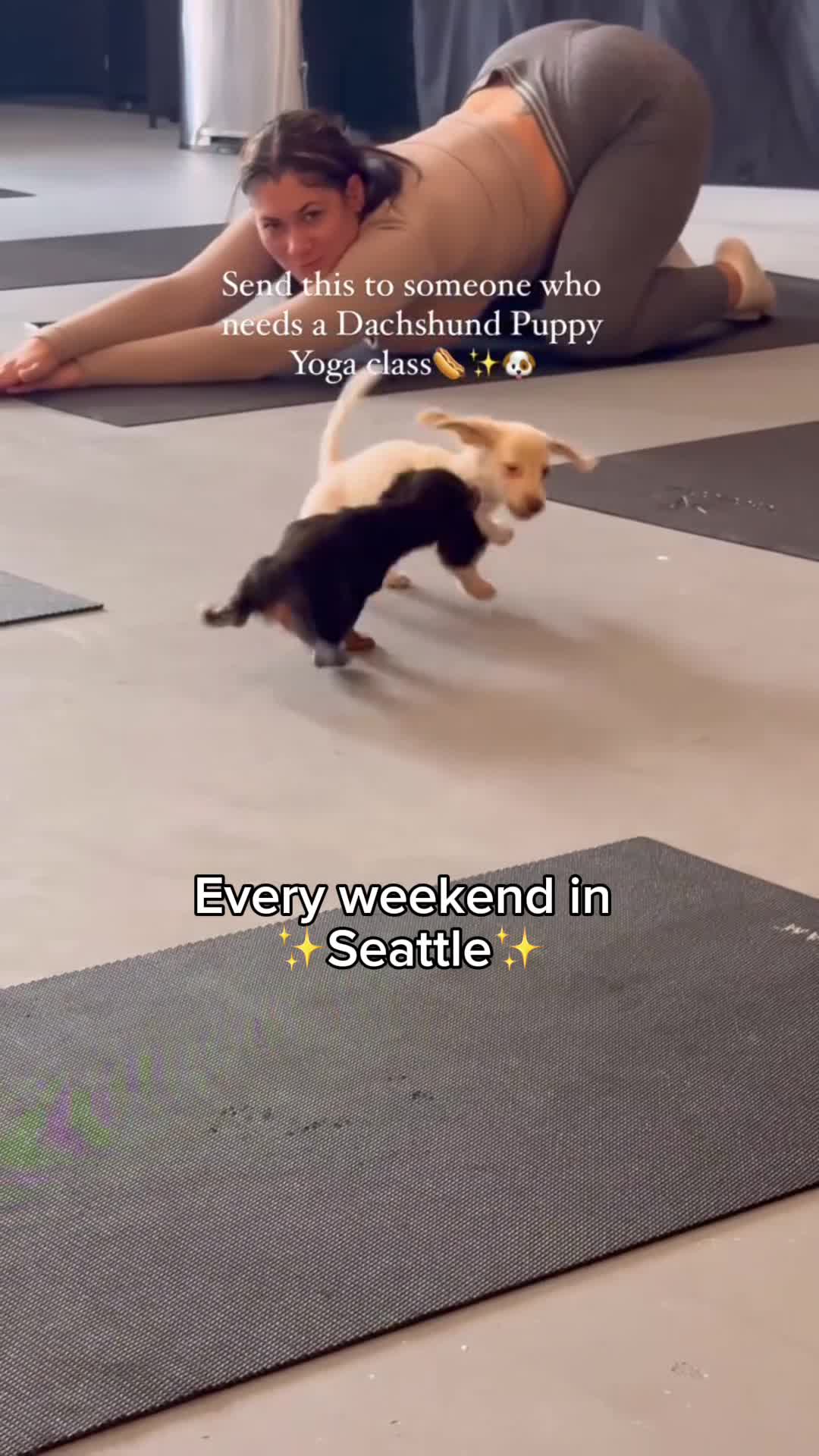 Puppies & Yoga Seattle Facebook ad: Book your class now!