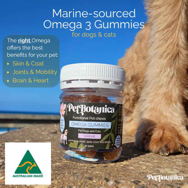 Pet Botanica - Natural Pet Products Australia Facebook ad