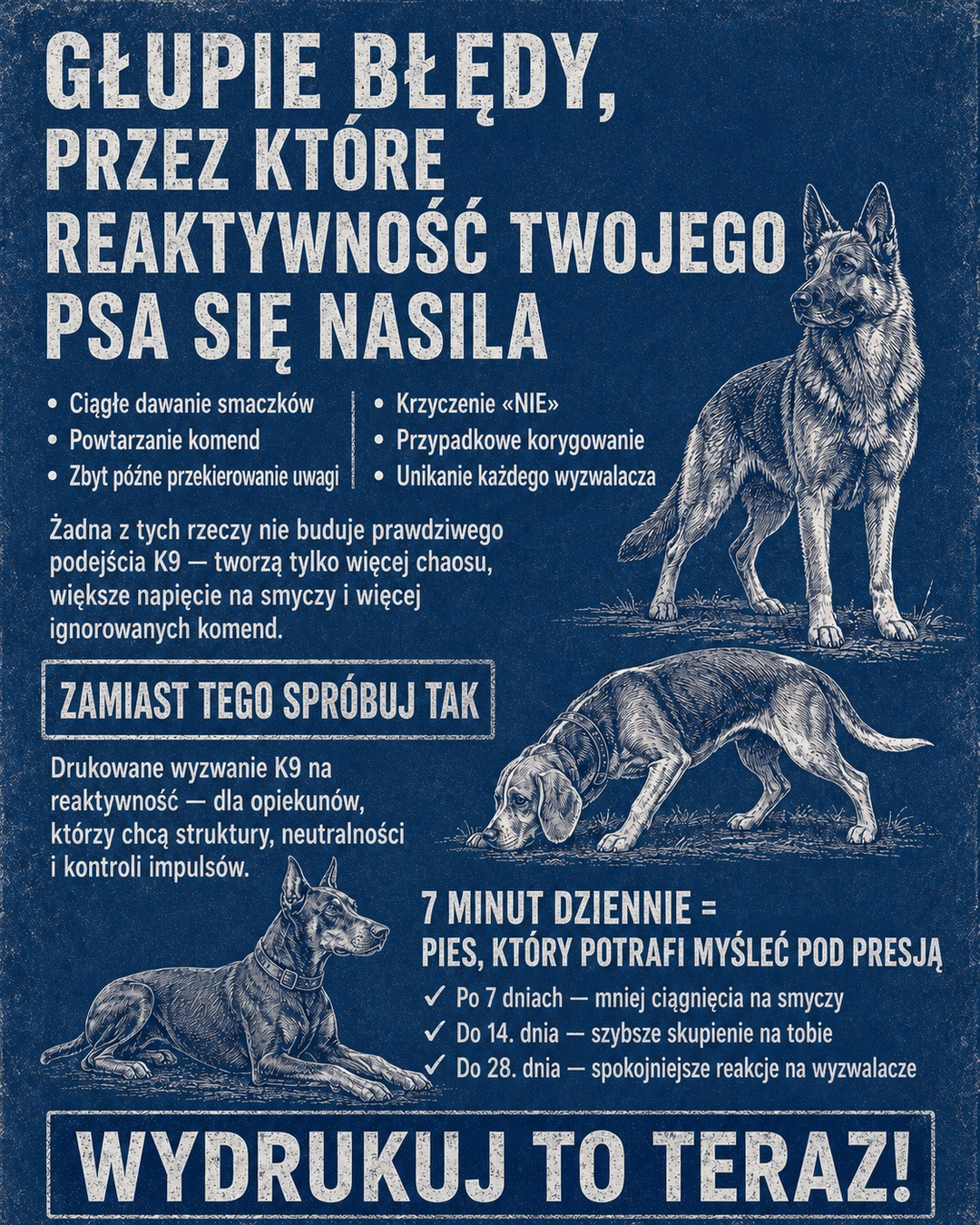 Reactive Dogs Club Facebook ad