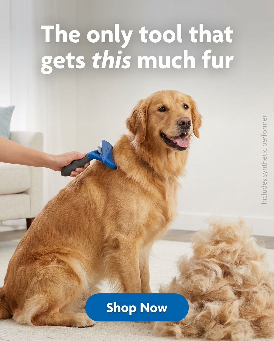 Sharon Recommends Facebook ad