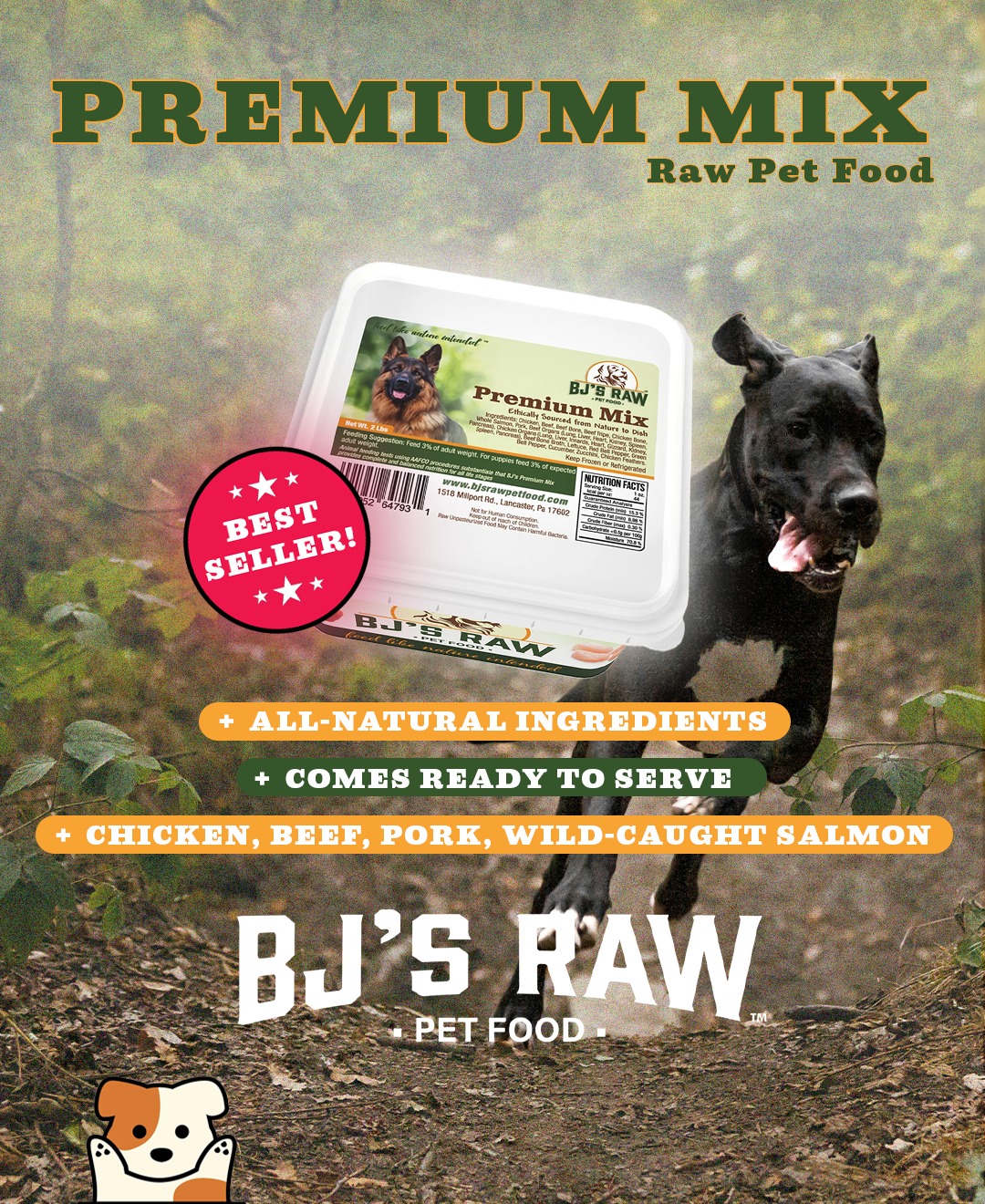 BJ's Raw Pet Food Facebook ad: Introductory Package - BJ's Raw Pet Food