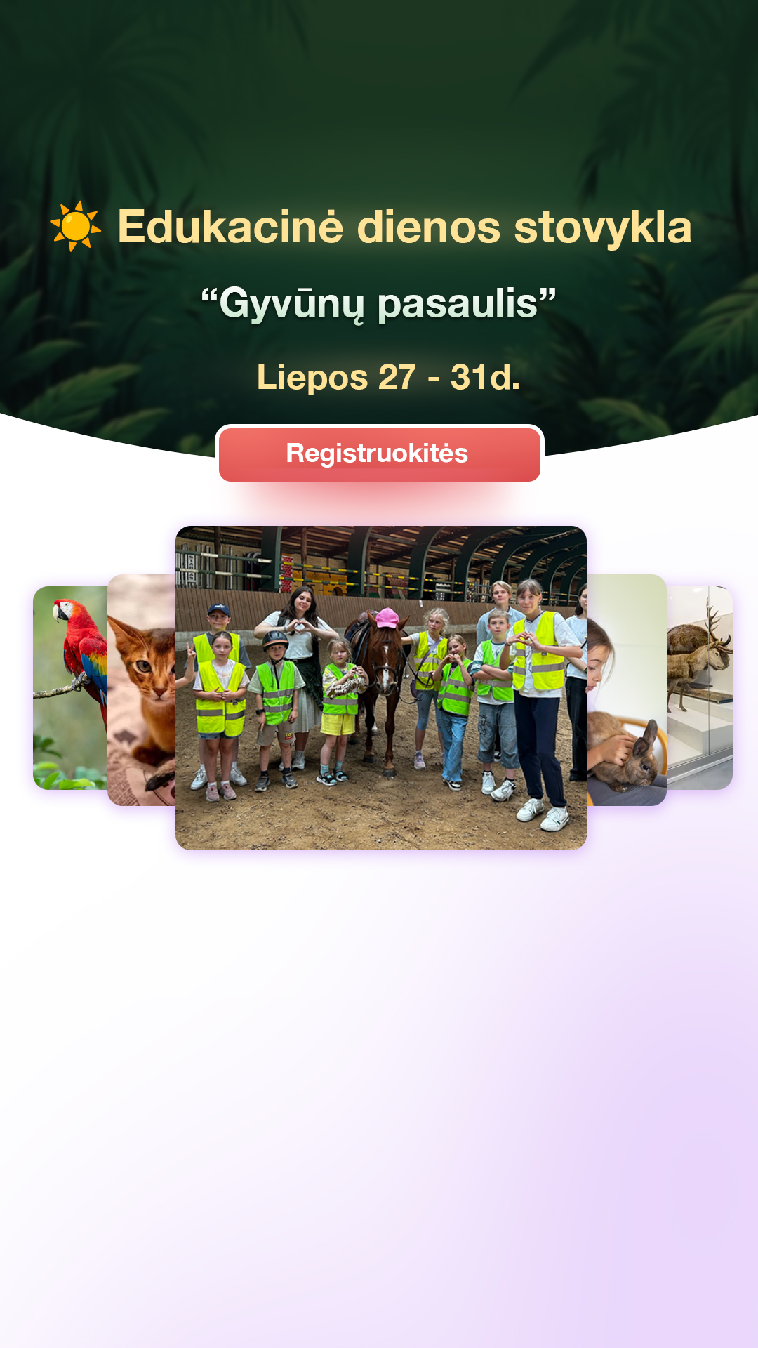 Pasimokome.lt korepetitoriai Facebook ad