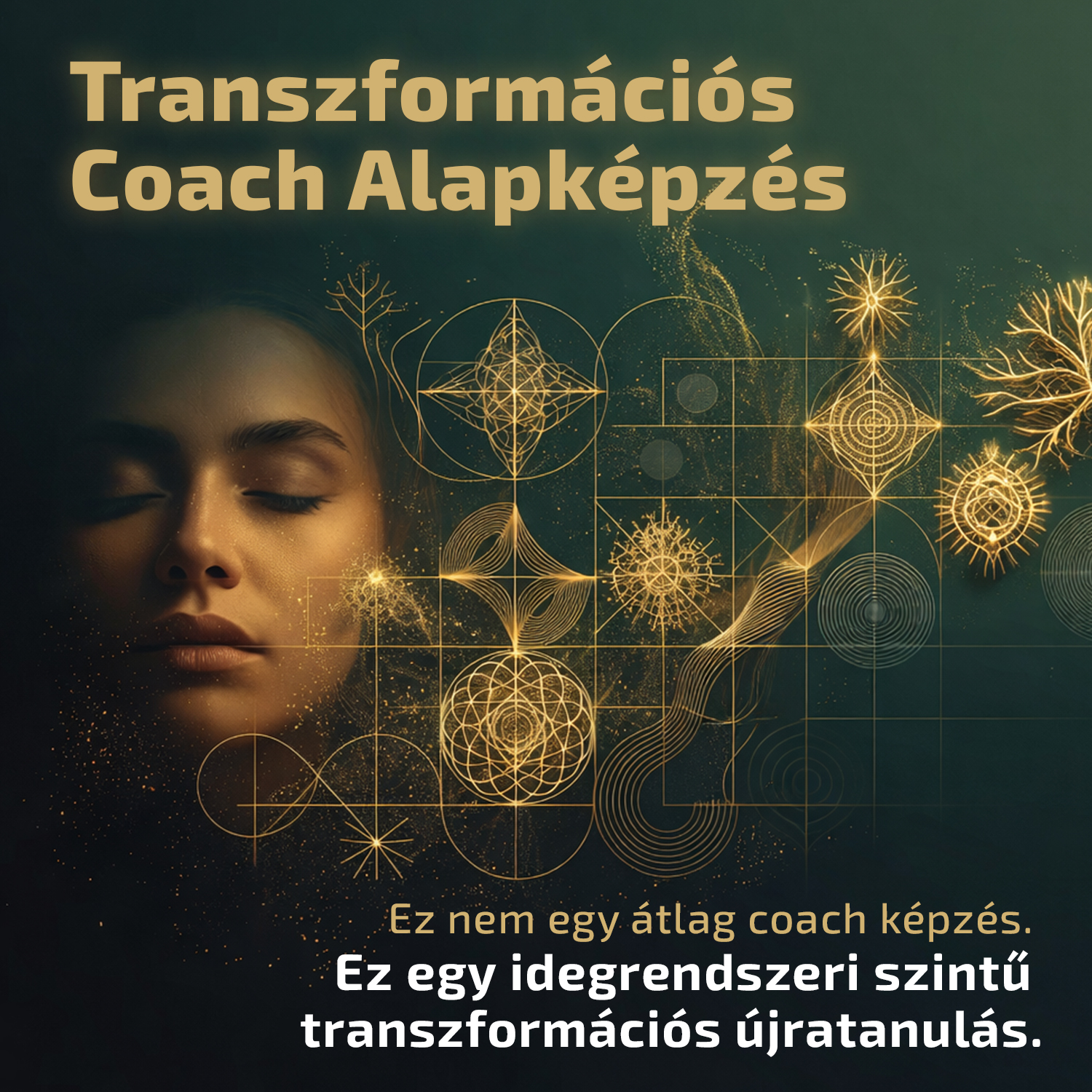 EvoMind Consulting Kft. Facebook ad: Transzformációs Coach Alapképzés