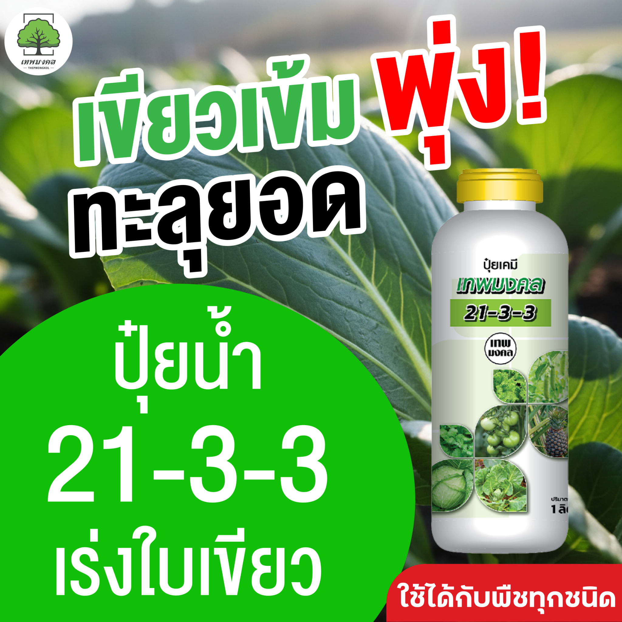 จำหน่ายปุ๋ยน้ำ สูตรพรีเมี่ยม ตราเทพมงคล Facebook ad