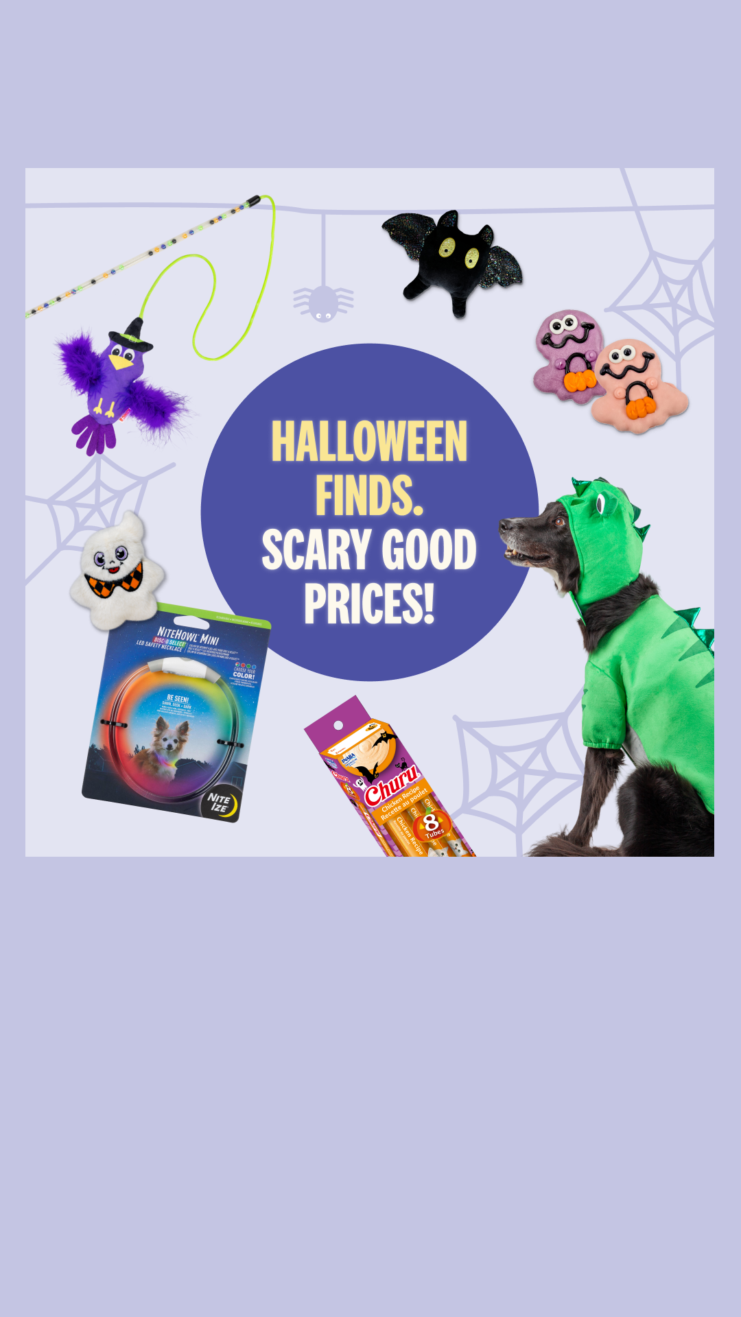 Pet Valu Facebook ad: Halloween finds